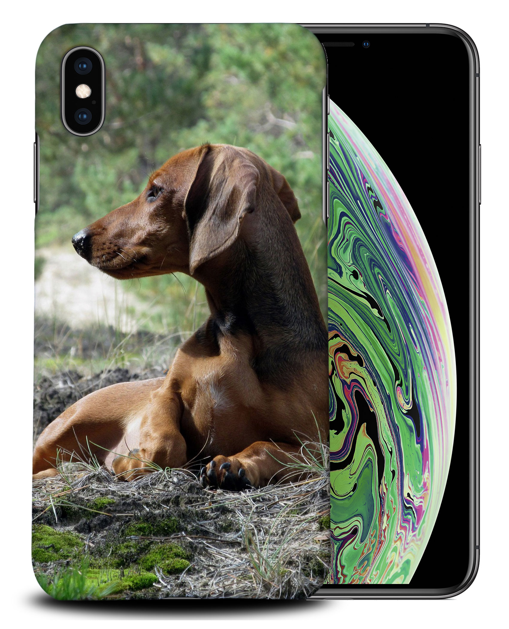 CASE COVER FOR APPLE IPHONE|DACHSHUND DOG 8 - Picture 25 of 44