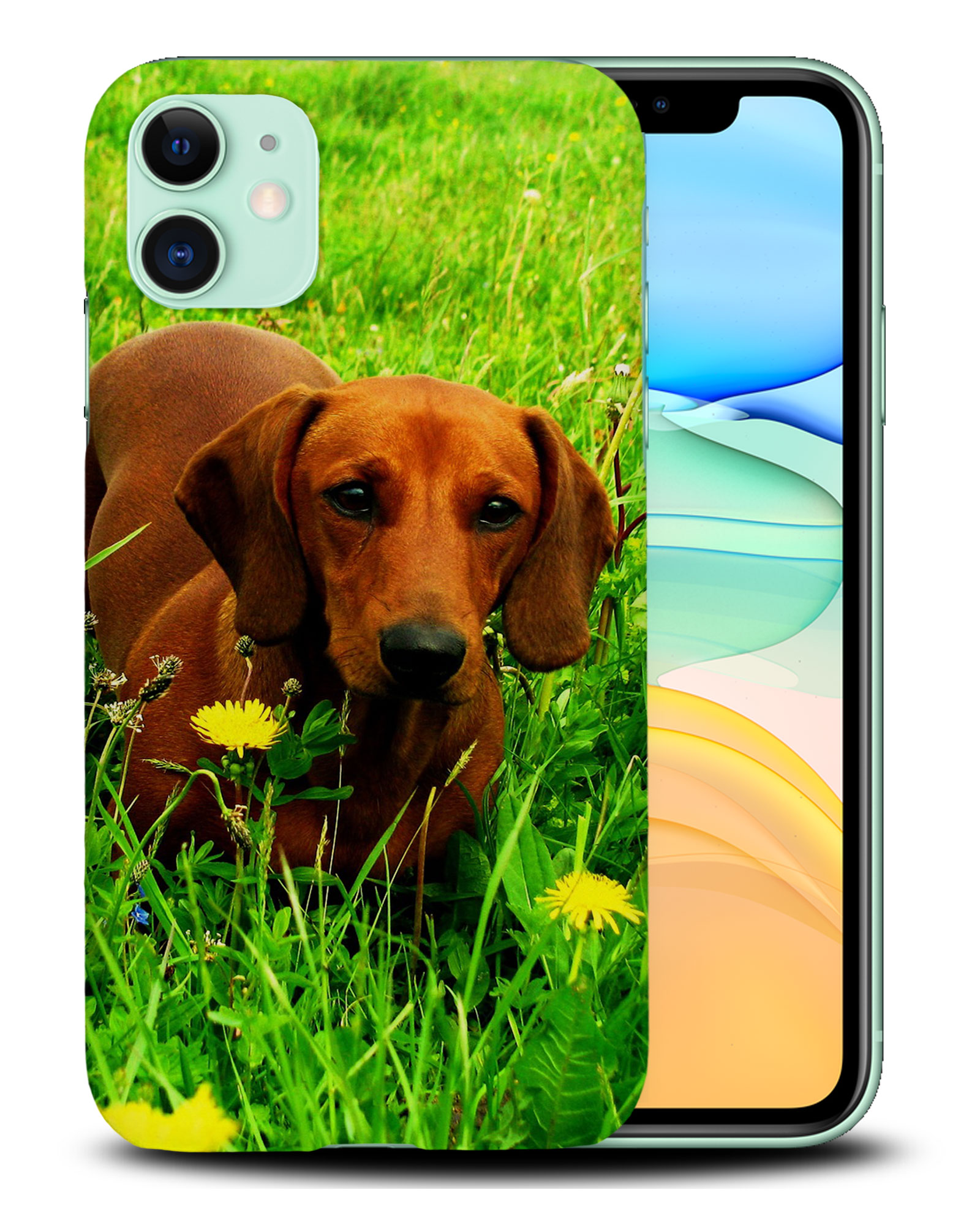 CASE COVER FOR APPLE IPHONE|DACHSHUND DOG 10 - Picture 24 of 44