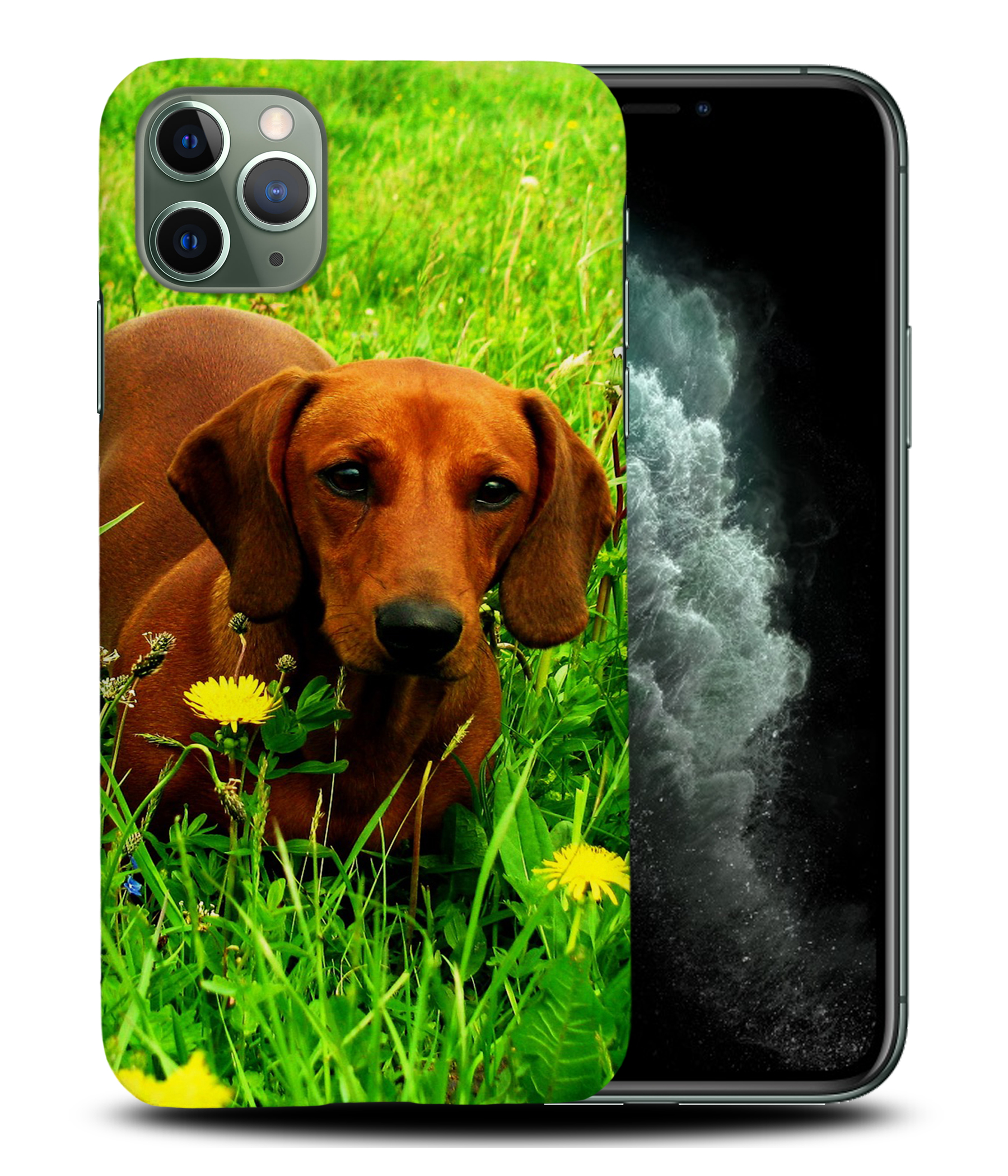 CASE COVER FOR APPLE IPHONE|DACHSHUND DOG 10 - Picture 23 of 44