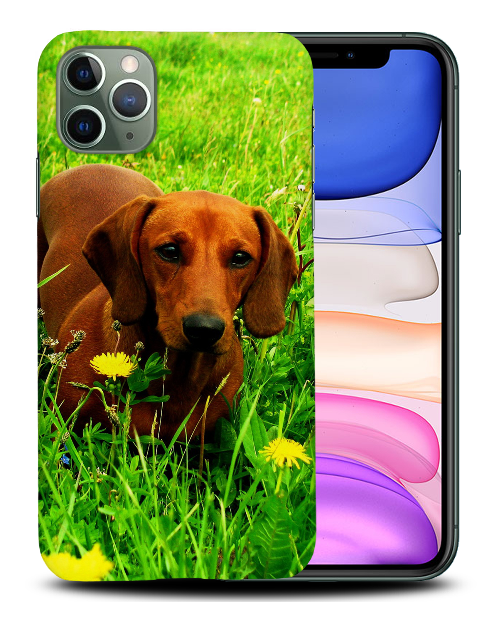 CASE COVER FOR APPLE IPHONE|DACHSHUND DOG 10 - Picture 22 of 44