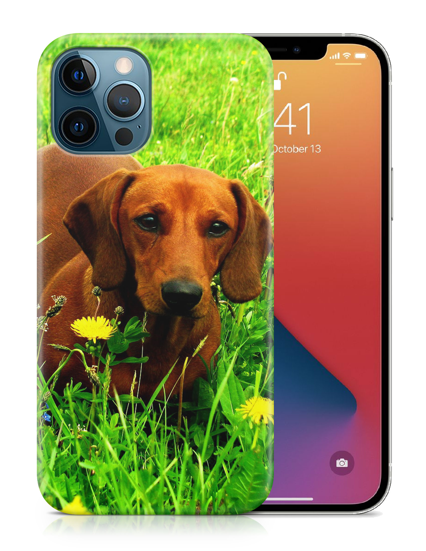 CASE COVER FOR APPLE IPHONE|DACHSHUND DOG 10 - Picture 19 of 44