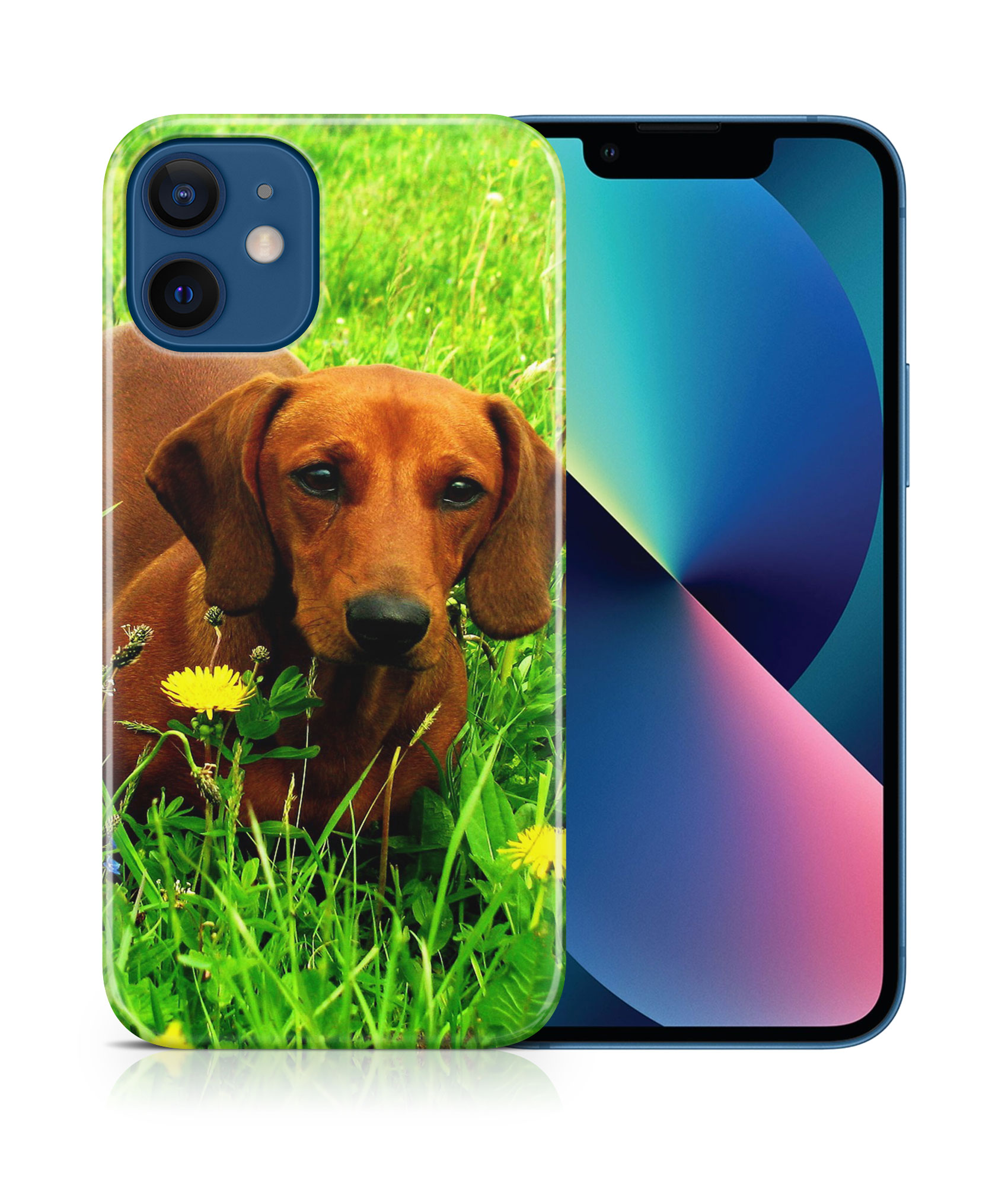 CASE COVER FOR APPLE IPHONE|DACHSHUND DOG 10 - Picture 17 of 44