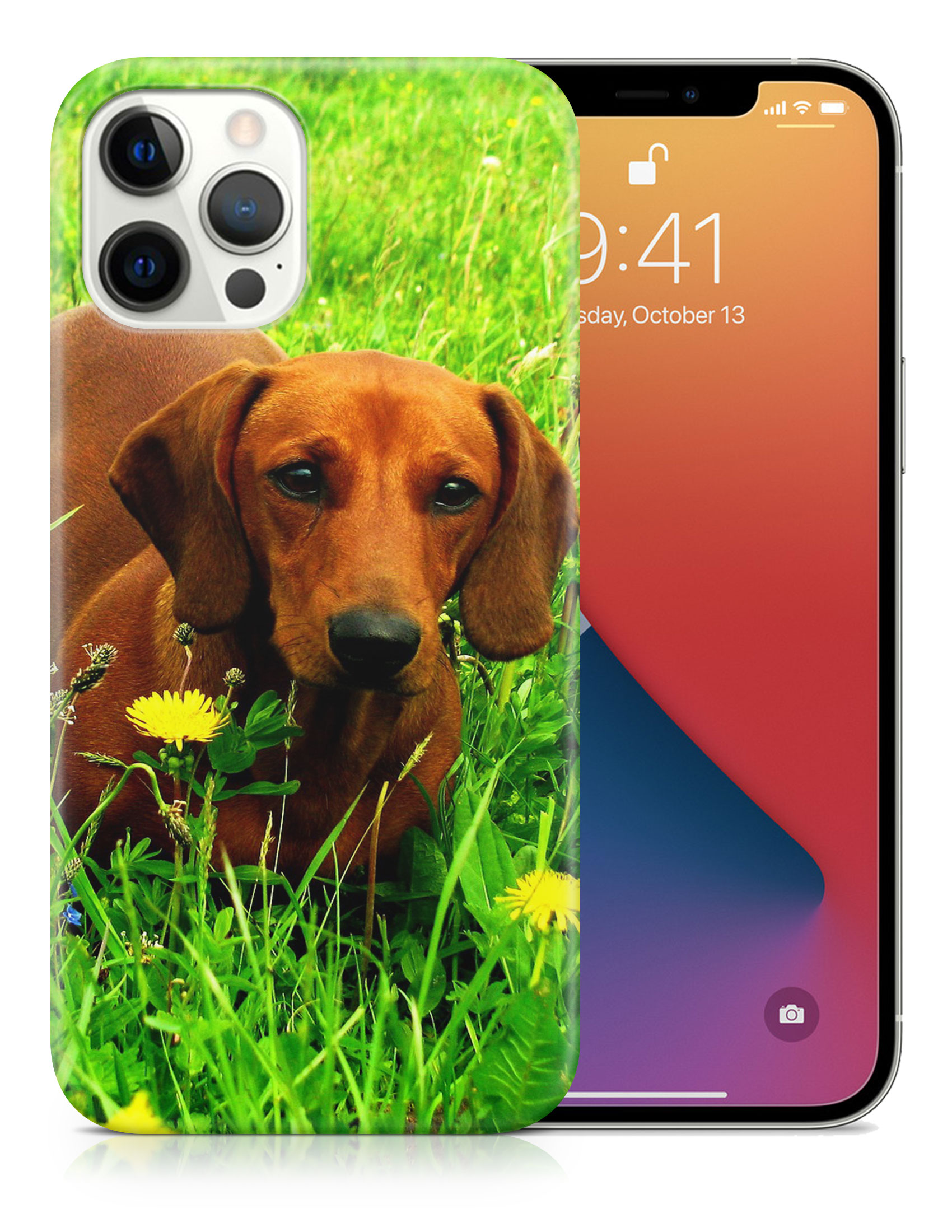 CASE COVER FOR APPLE IPHONE|DACHSHUND DOG 10 - Picture 18 of 44