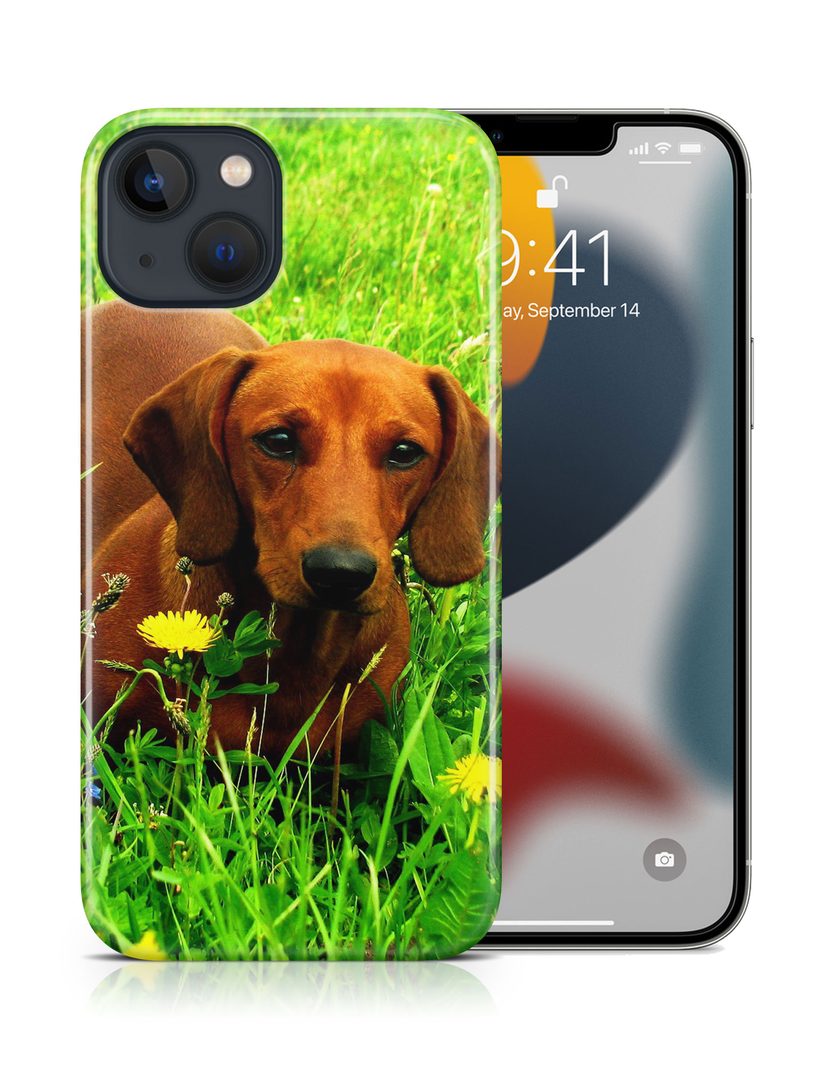 CASE COVER FOR APPLE IPHONE|DACHSHUND DOG 10 - Picture 16 of 44