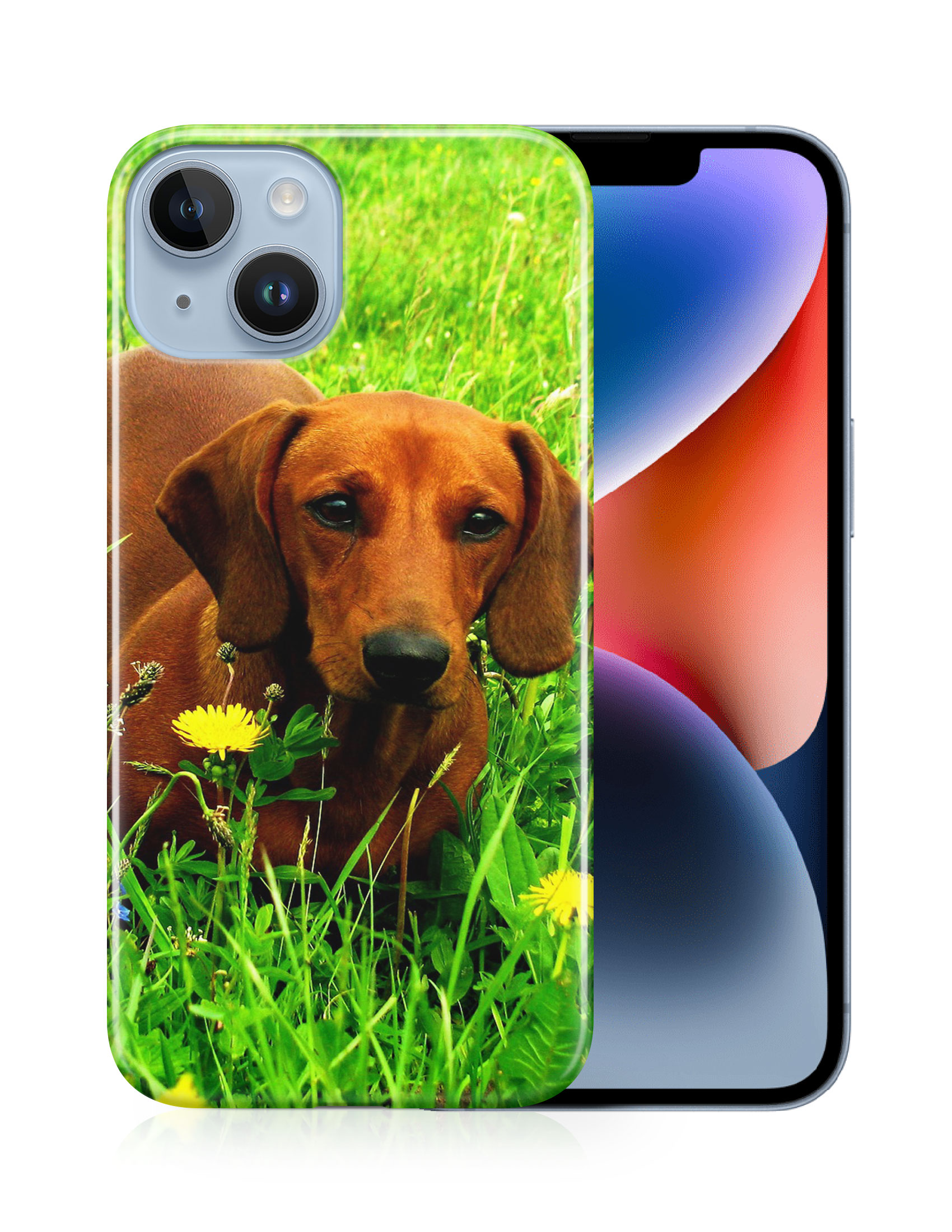 CASE COVER FOR APPLE IPHONE|DACHSHUND DOG 10 - Picture 13 of 44