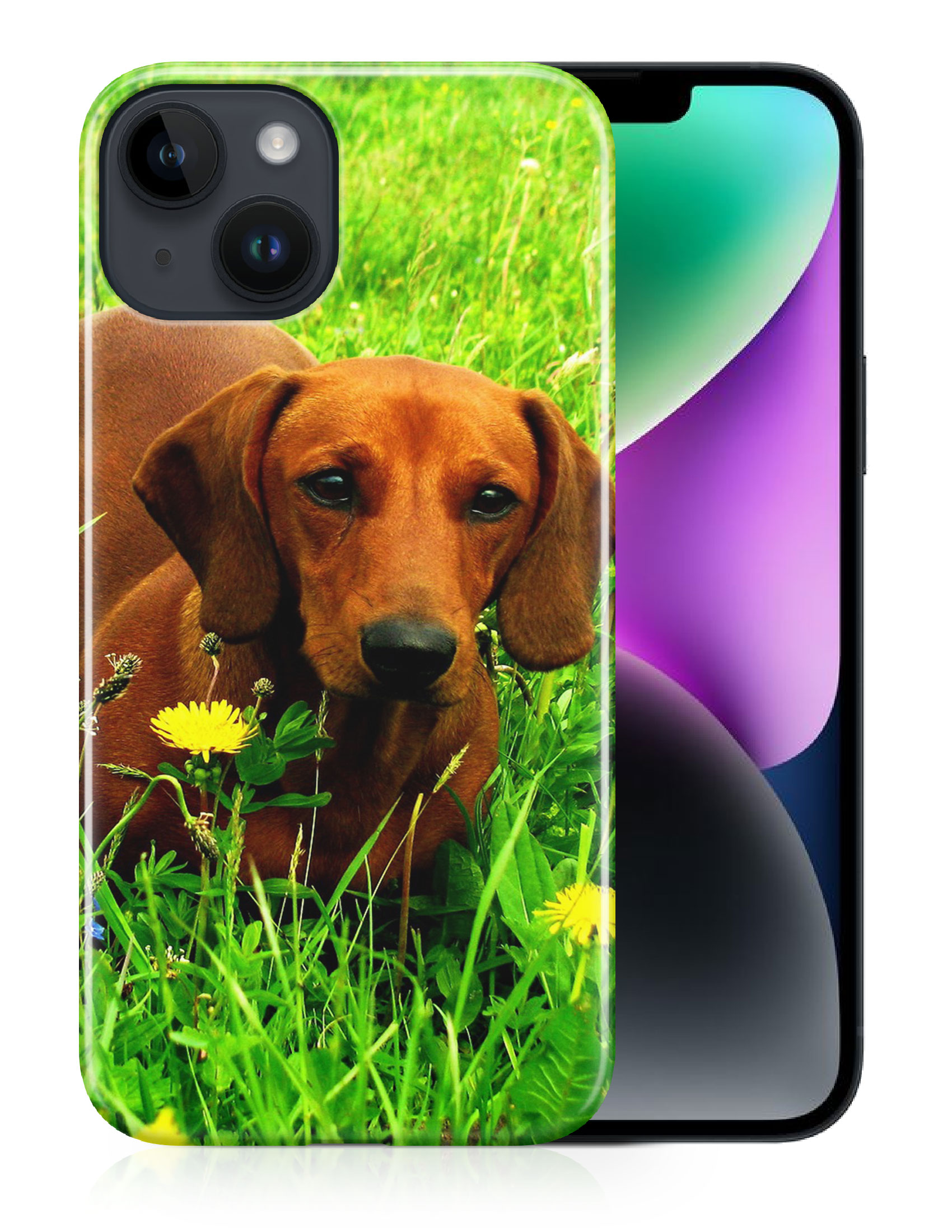 CASE COVER FOR APPLE IPHONE|DACHSHUND DOG 10 - Picture 12 of 44