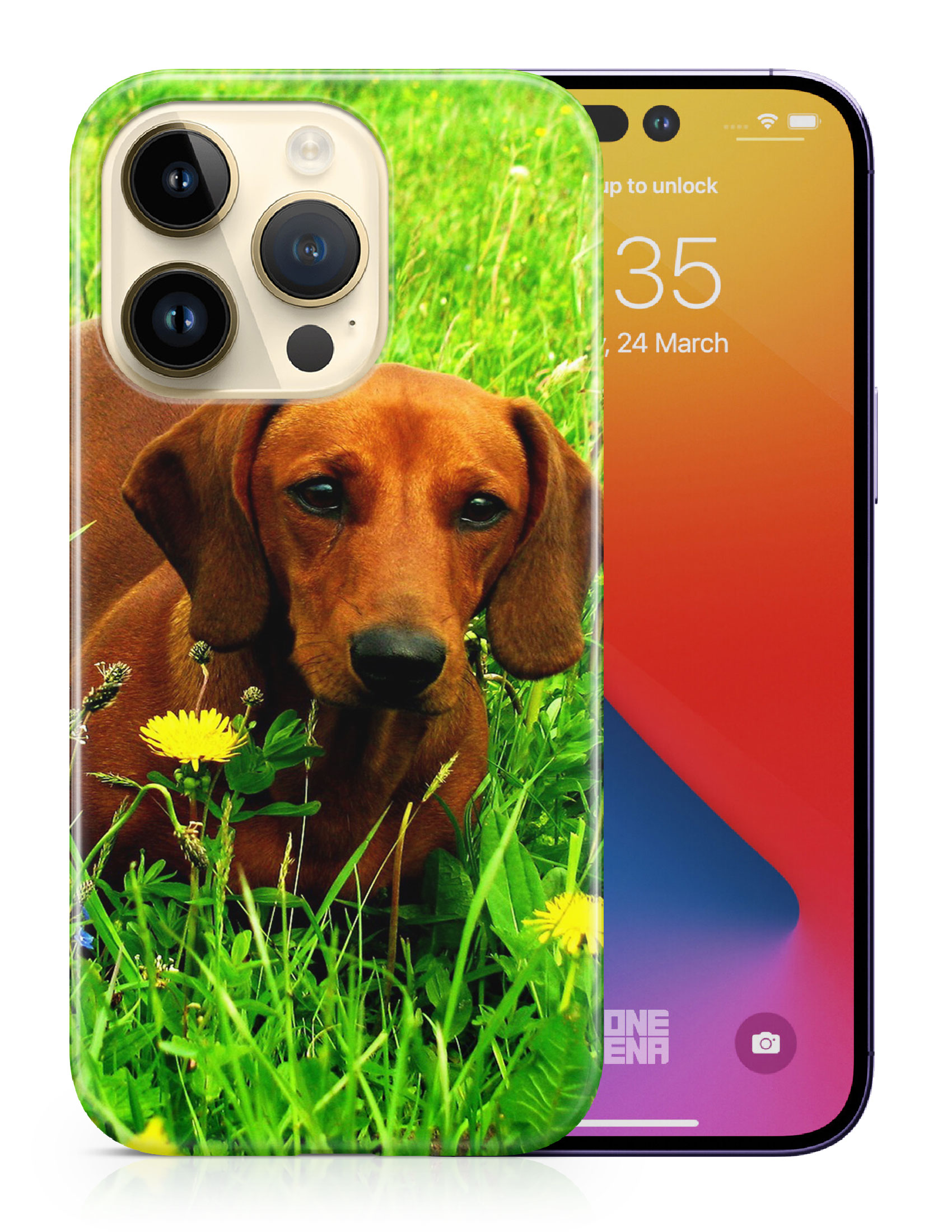 CASE COVER FOR APPLE IPHONE|DACHSHUND DOG 10 - Picture 10 of 44