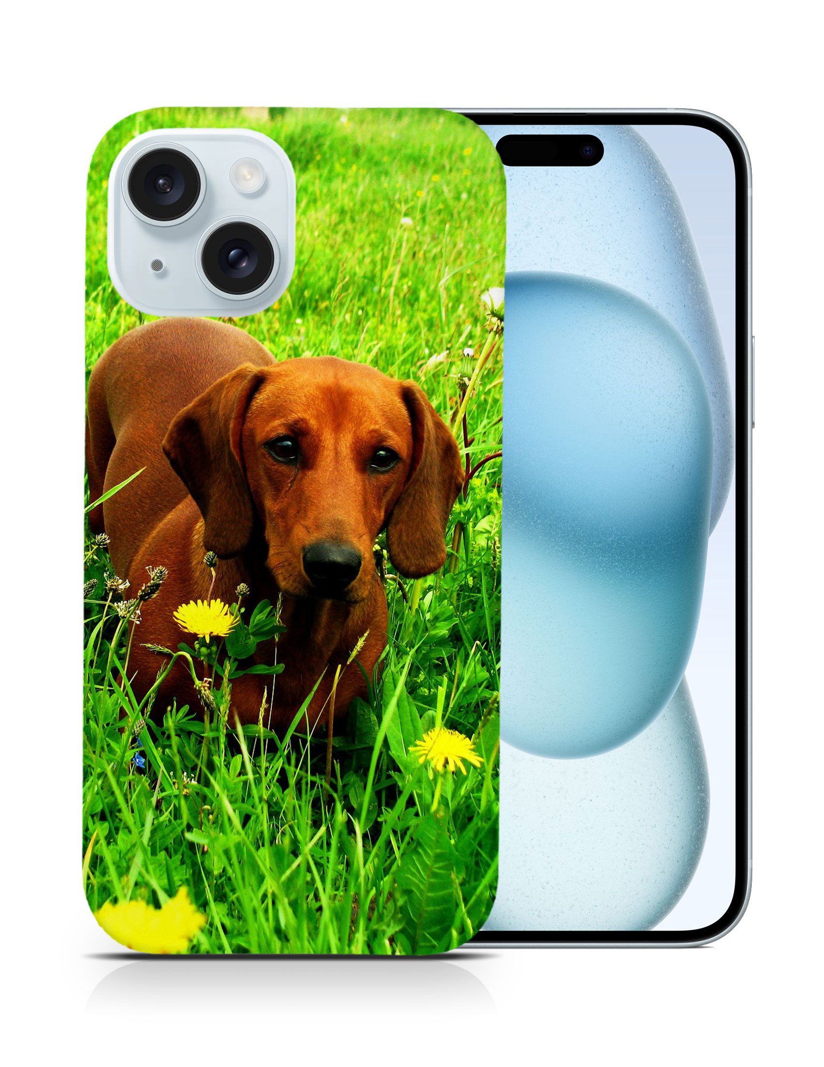 CASE COVER FOR APPLE IPHONE|DACHSHUND DOG 10 - Picture 9 of 44