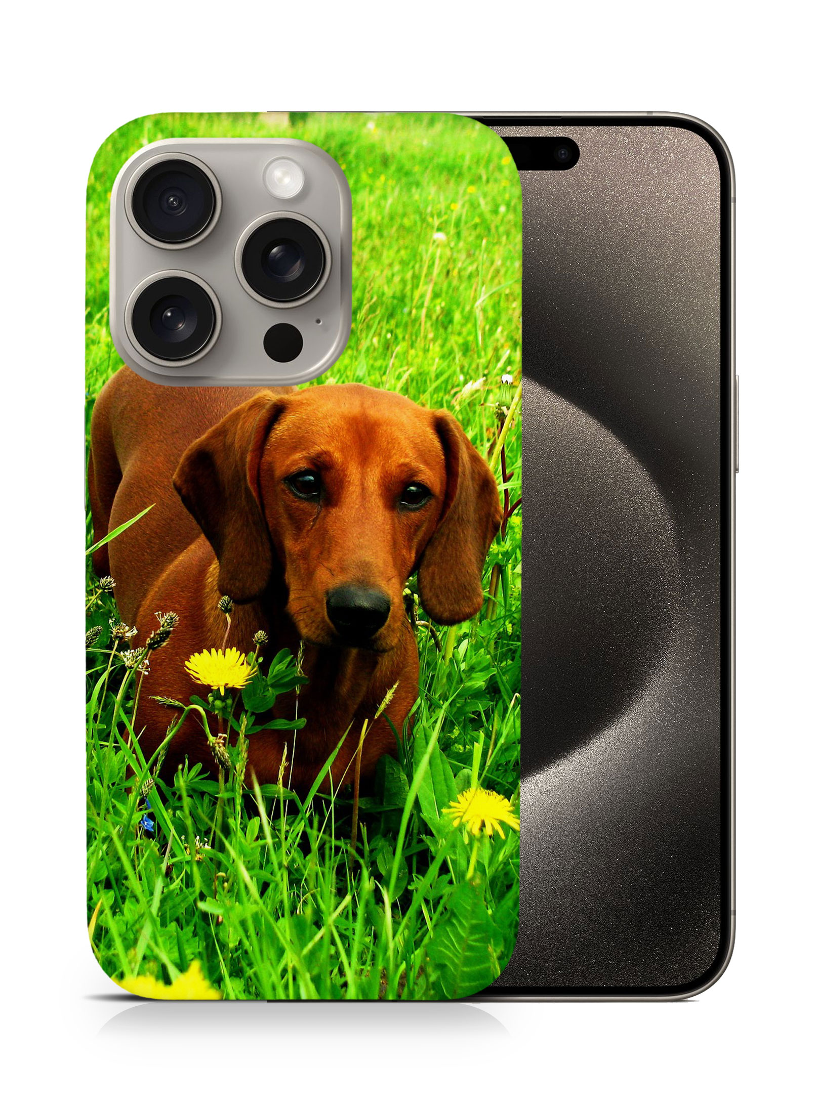 CASE COVER FOR APPLE IPHONE|DACHSHUND DOG 10 - Picture 7 of 44