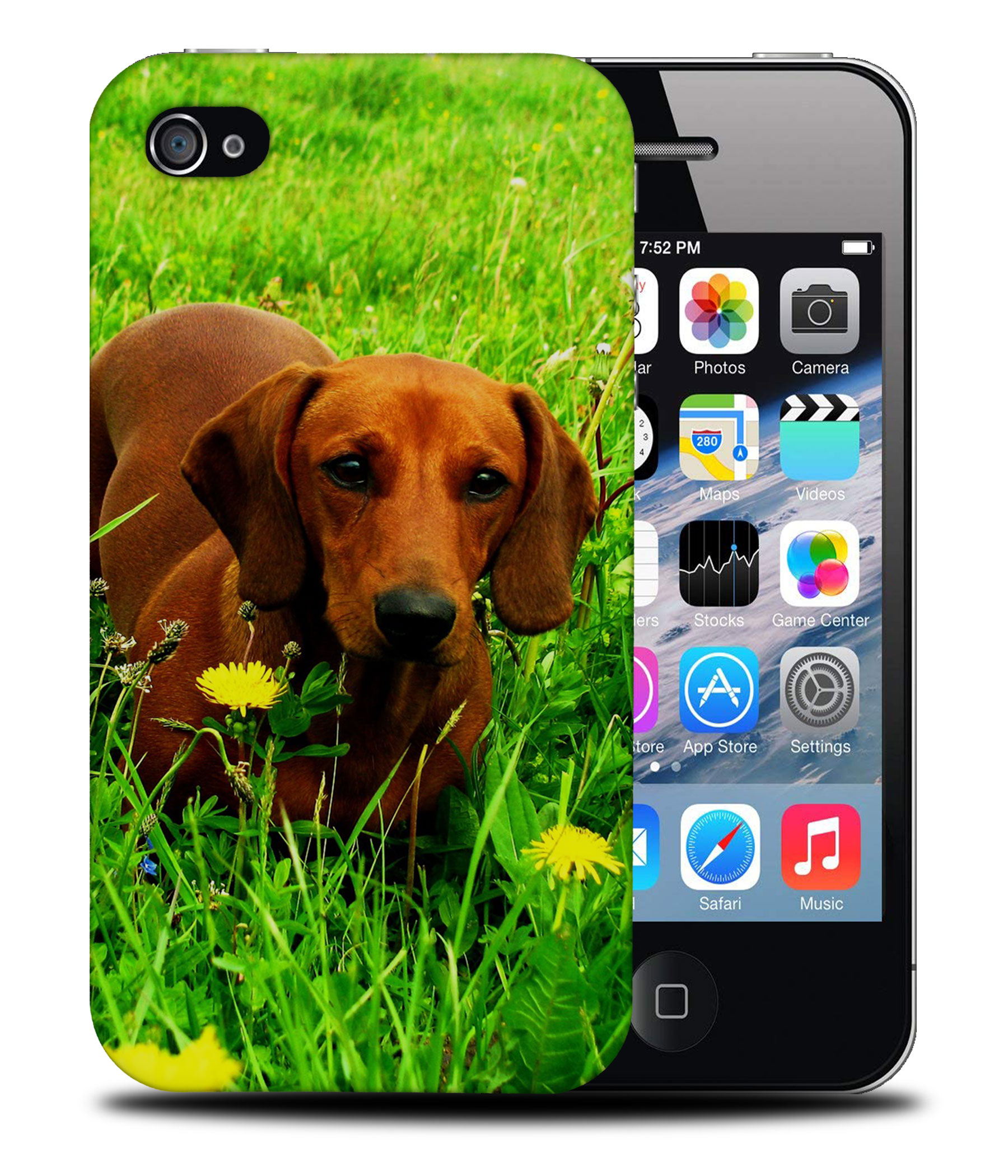 CASE COVER FOR APPLE IPHONE|DACHSHUND DOG 10 - Picture 40 of 44