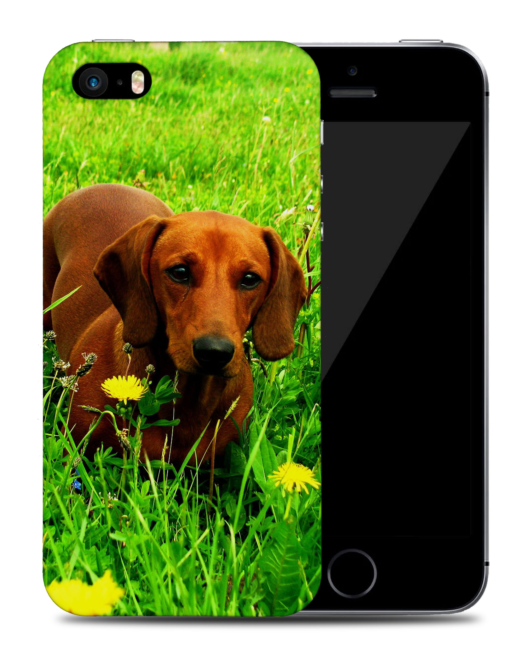 CASE COVER FOR APPLE IPHONE|DACHSHUND DOG 10 - Picture 38 of 44