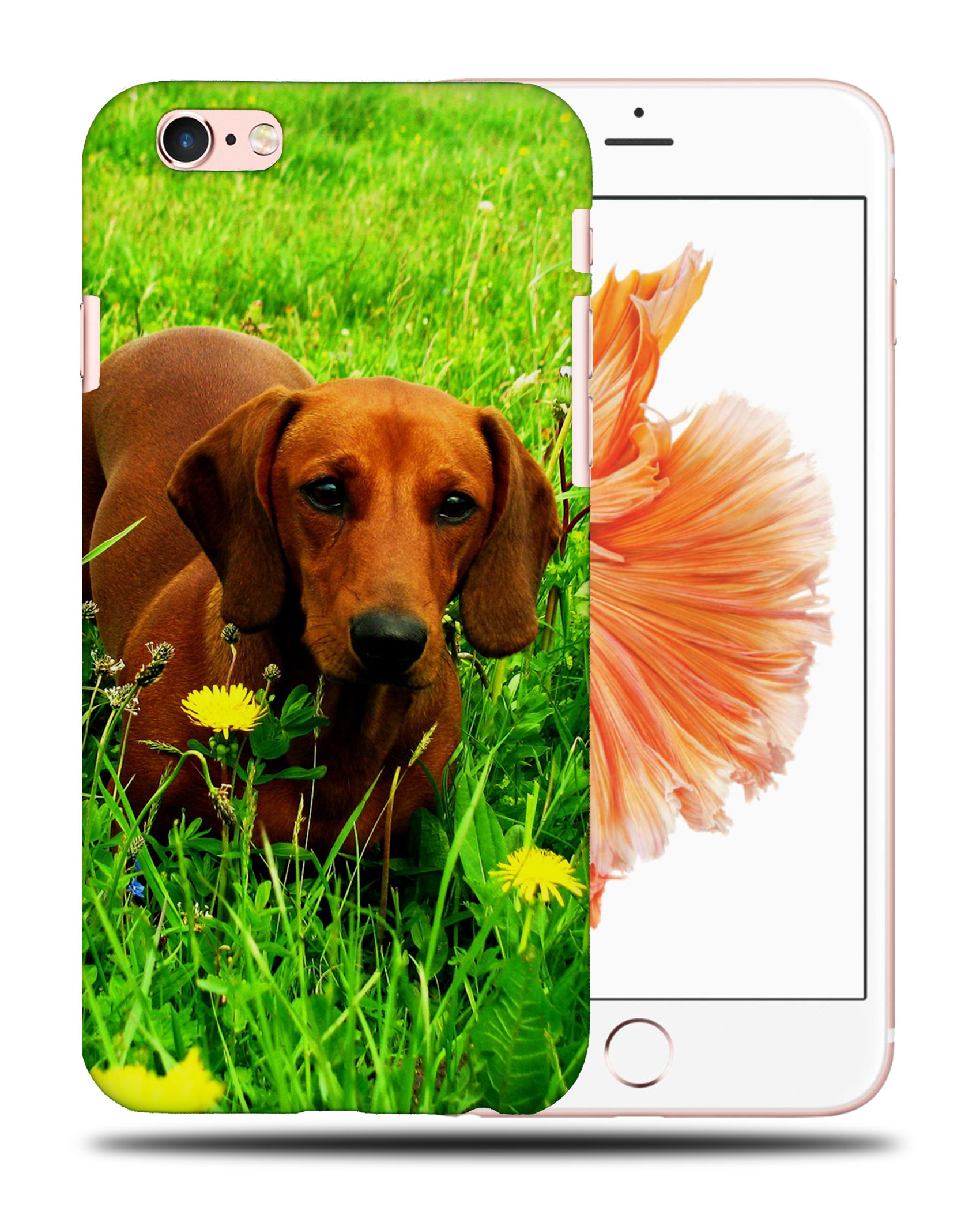 CASE COVER FOR APPLE IPHONE|DACHSHUND DOG 10 - Picture 35 of 44