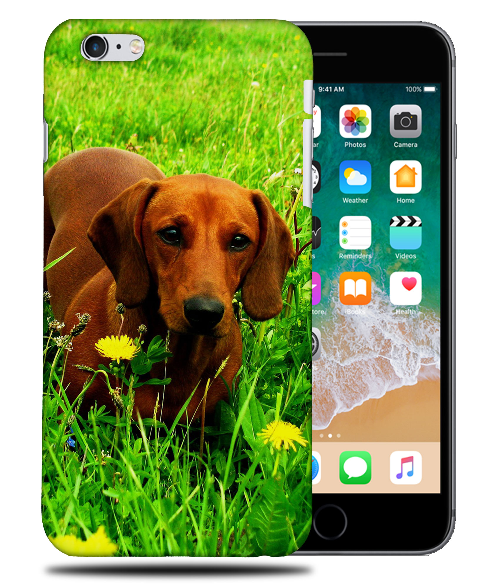 CASE COVER FOR APPLE IPHONE|DACHSHUND DOG 10 - Picture 33 of 44