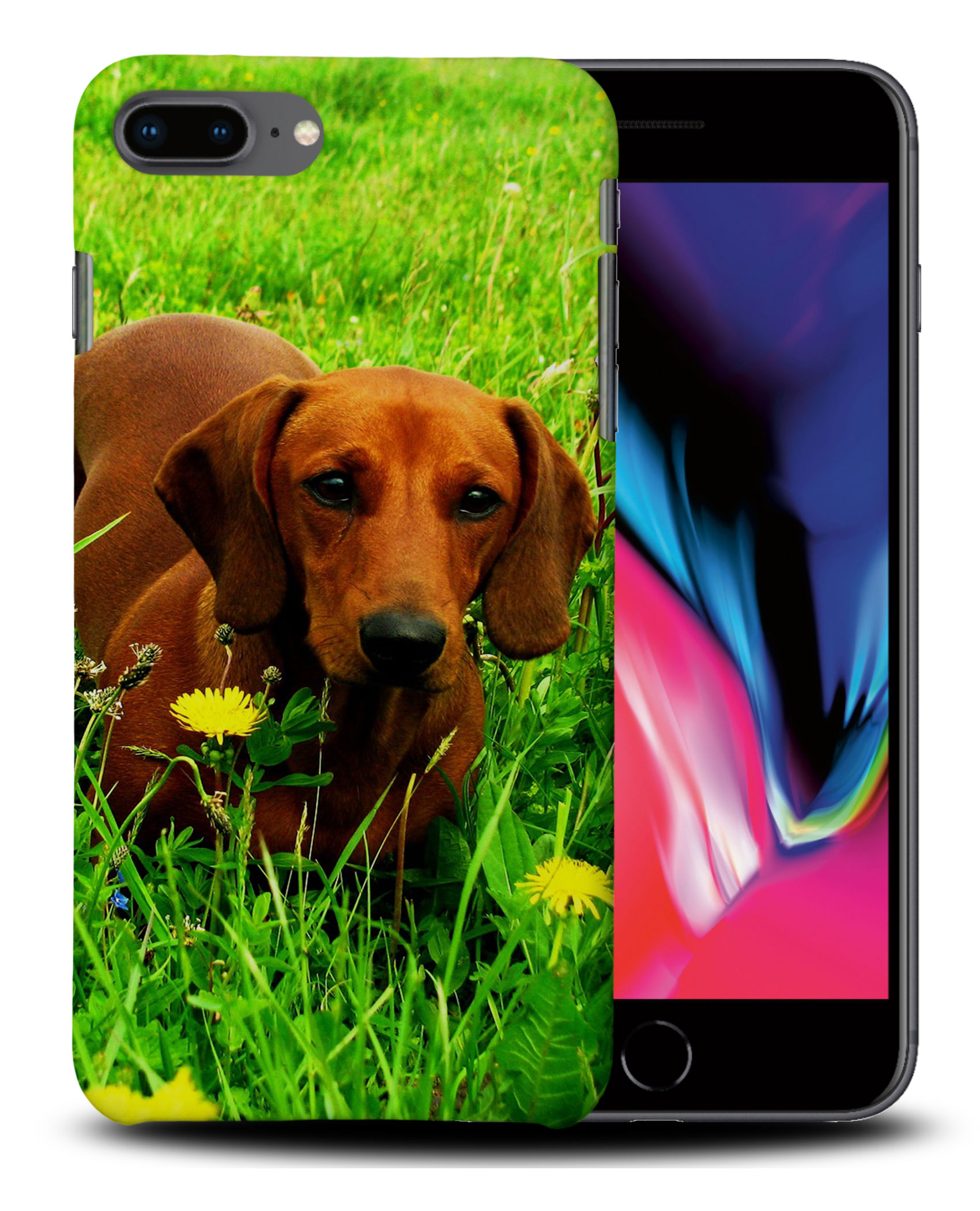 CASE COVER FOR APPLE IPHONE|DACHSHUND DOG 10 - Picture 29 of 44