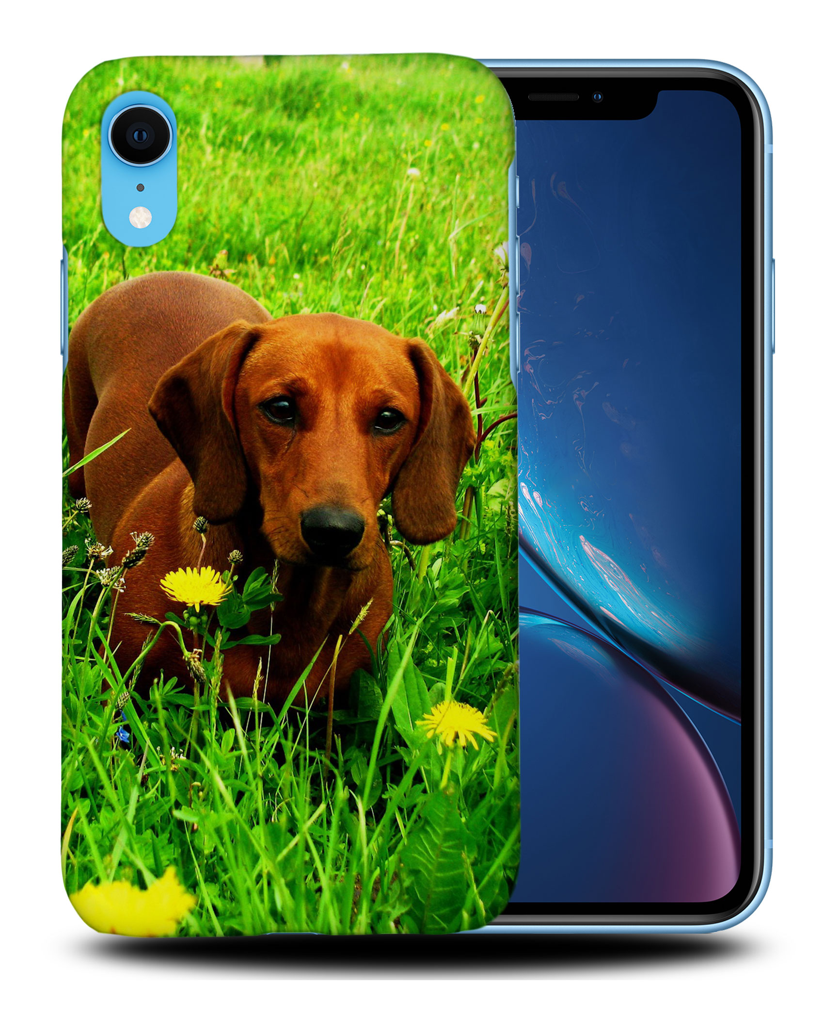 CASE COVER FOR APPLE IPHONE|DACHSHUND DOG 10 - Picture 27 of 44