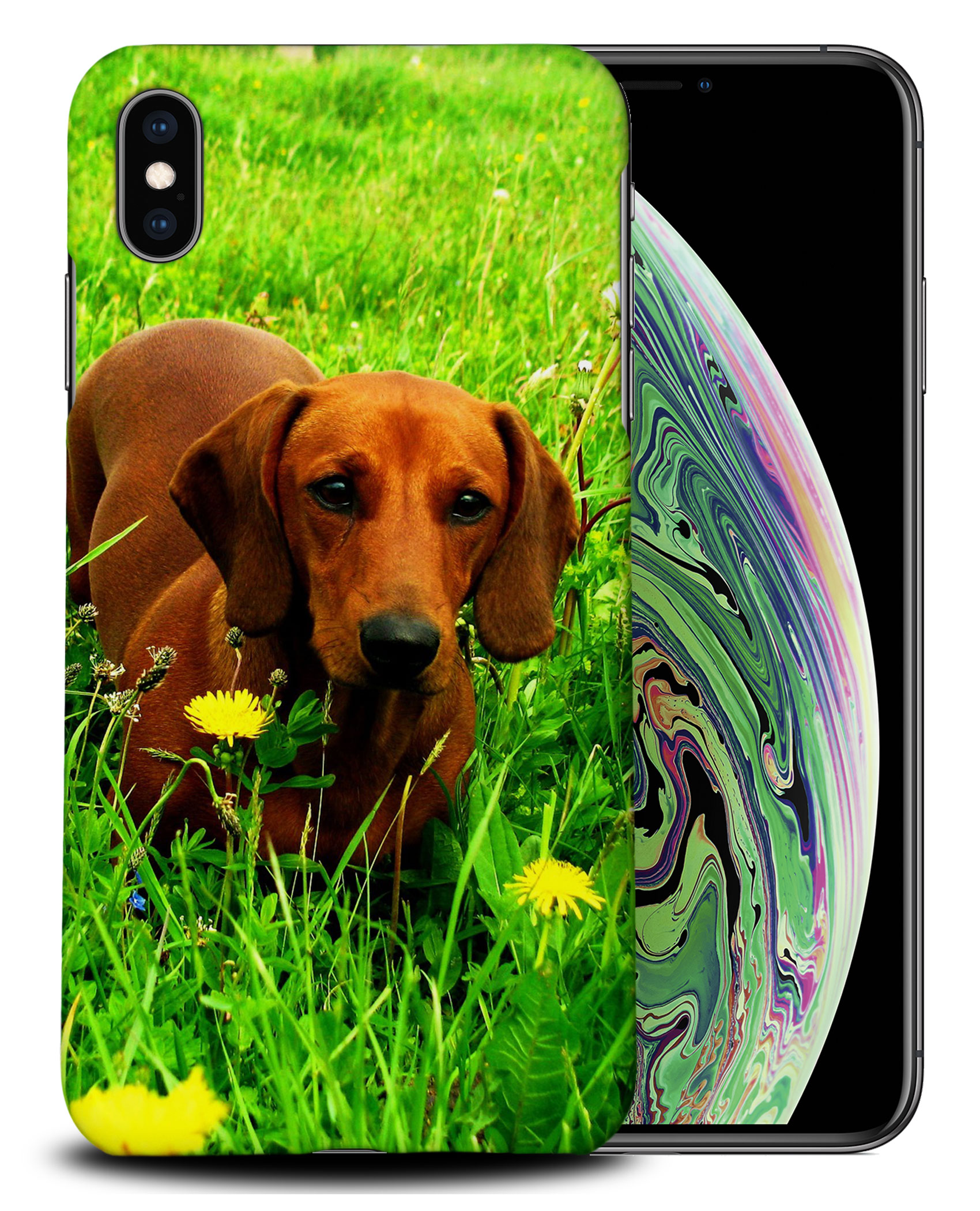 CASE COVER FOR APPLE IPHONE|DACHSHUND DOG 10 - Picture 25 of 44