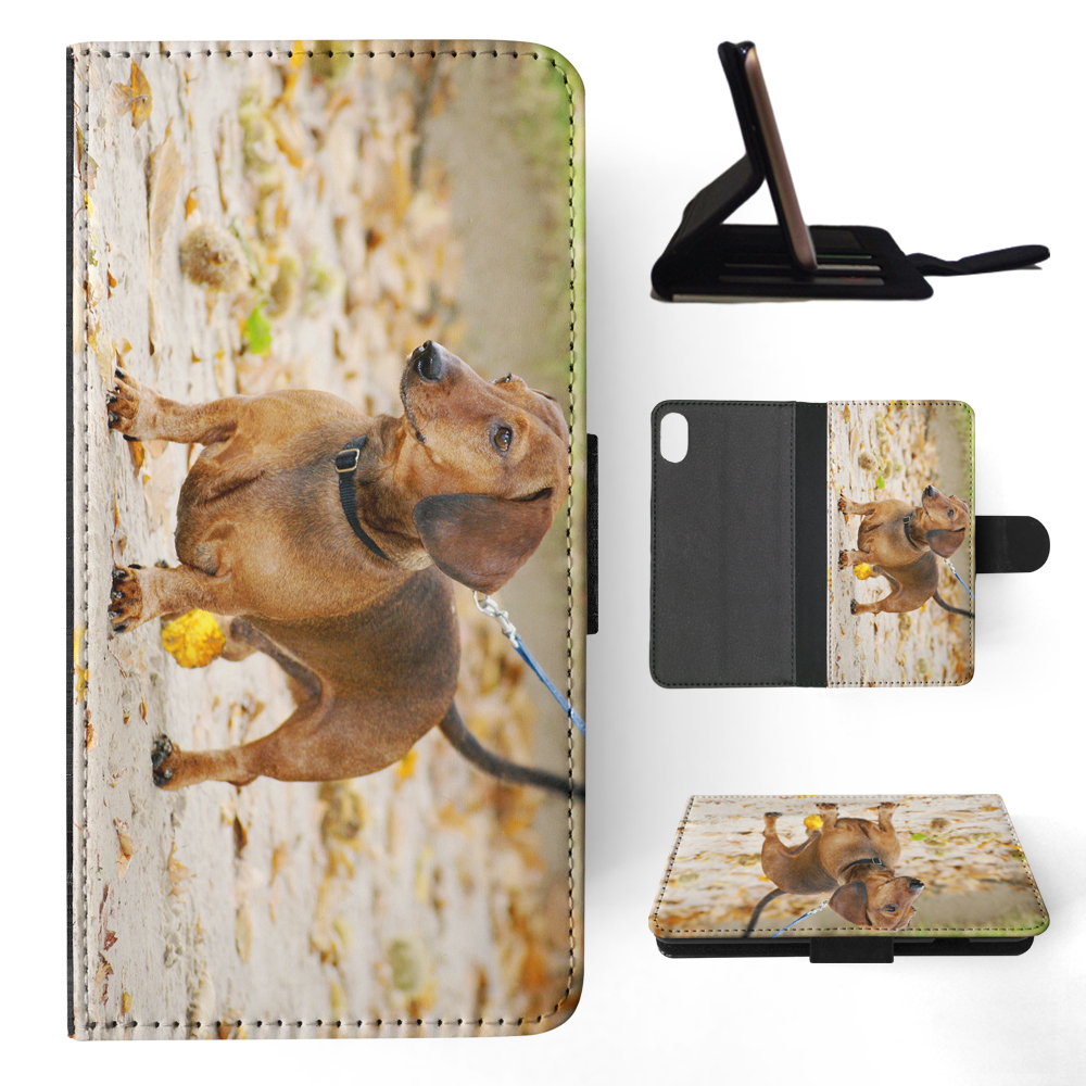 FUNDA ABATIBLE PARA APPLE IPHONE|DACHSHUND DOG 12 - Imagen 109 de 193