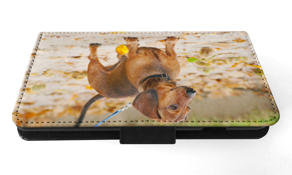 FUNDA ABATIBLE PARA APPLE IPHONE|DACHSHUND DOG 12 - Imagen 101 de 193