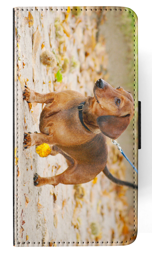 FUNDA ABATIBLE PARA APPLE IPHONE|DACHSHUND DOG 12 - Imagen 95 de 193