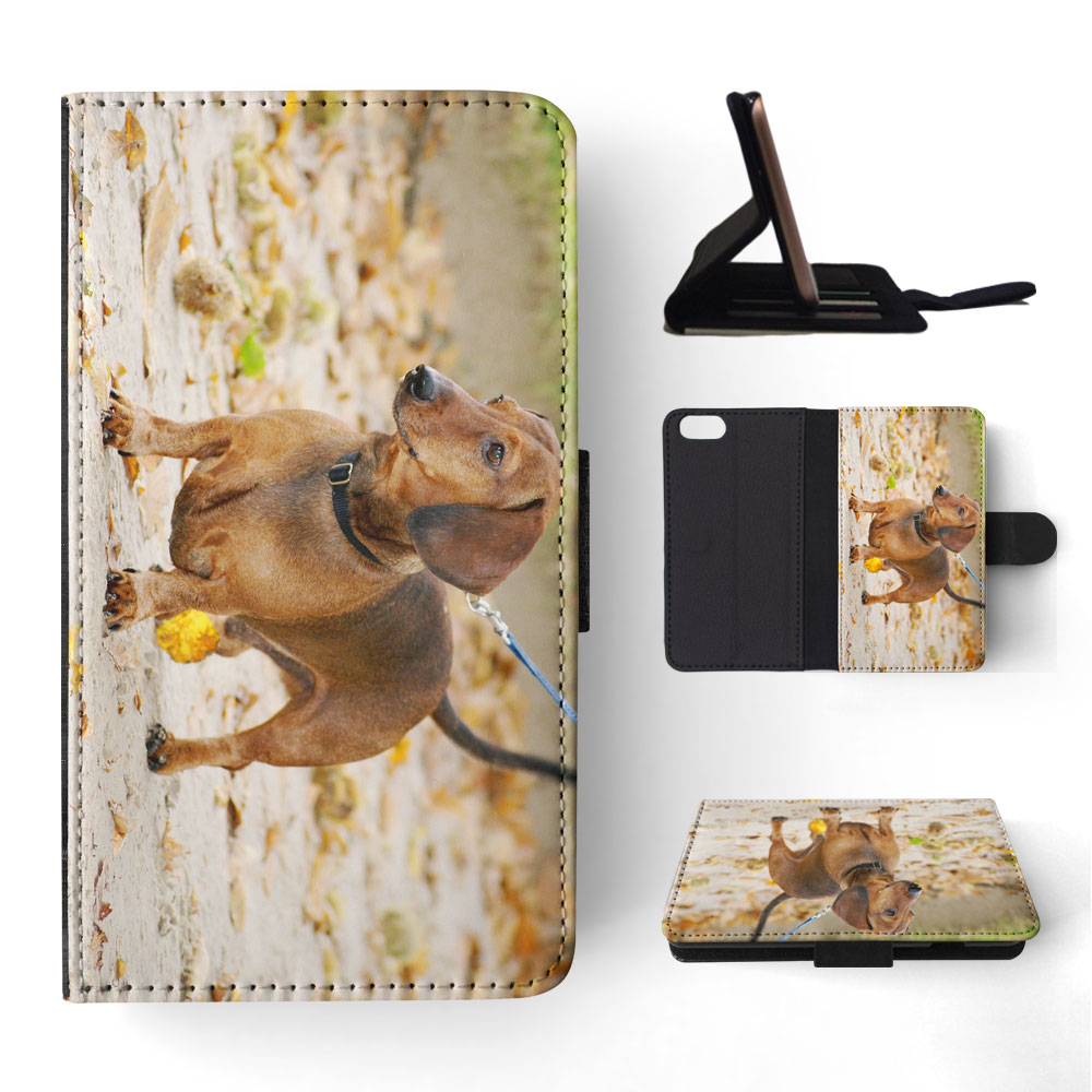 FUNDA ABATIBLE PARA APPLE IPHONE|DACHSHUND DOG 12 - Imagen 169 de 193