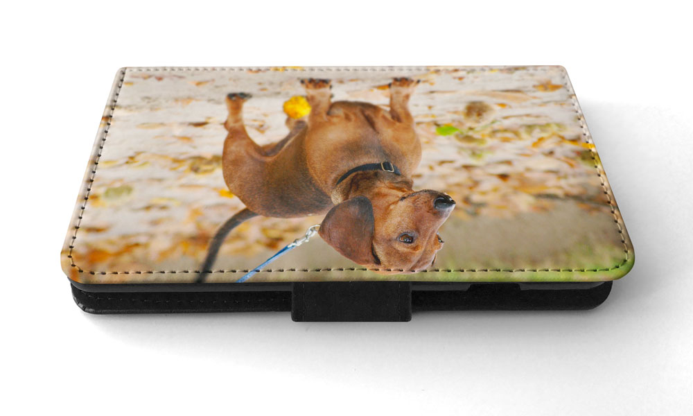FUNDA ABATIBLE PARA APPLE IPHONE|DACHSHUND DOG 12 - Imagen 171 de 193