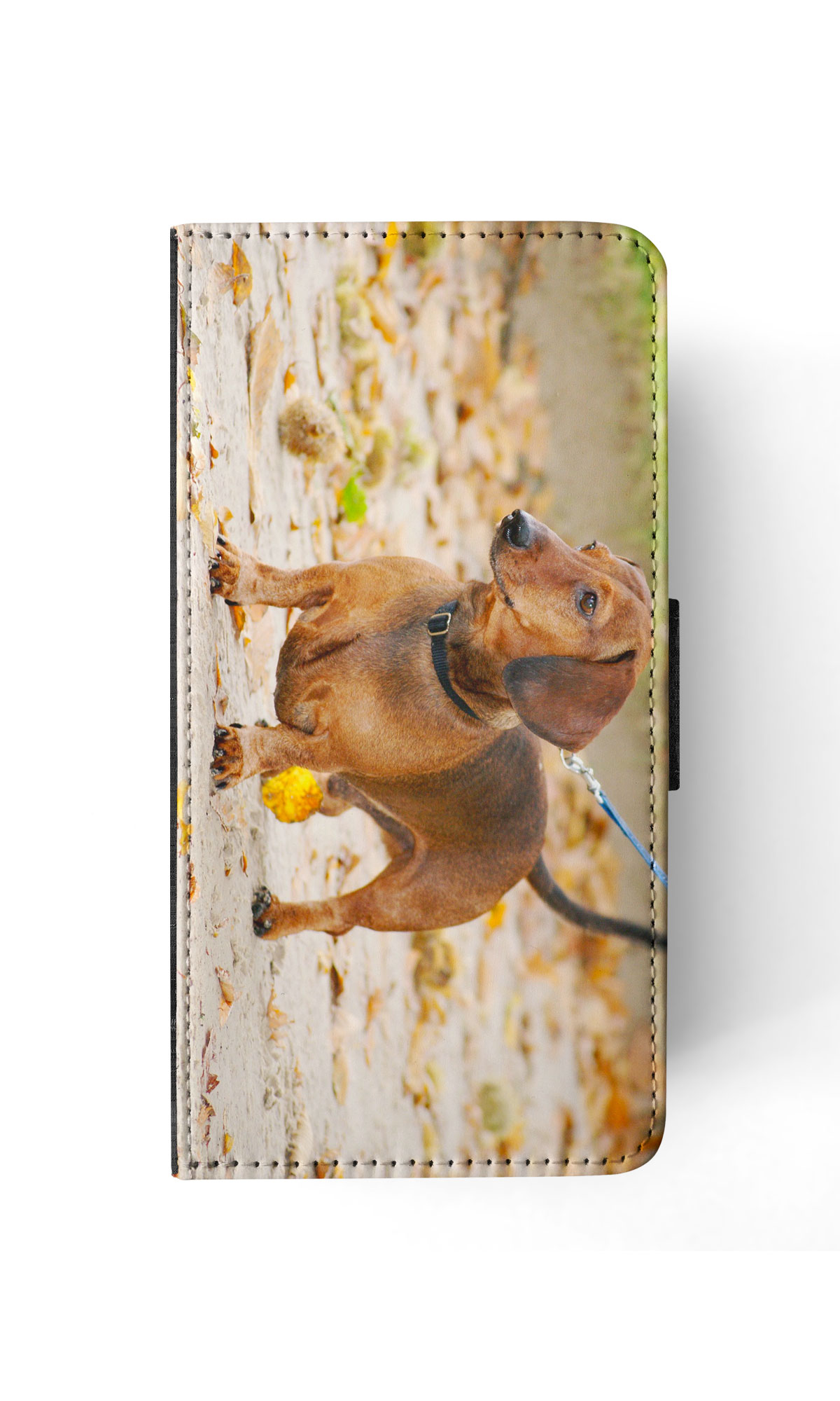 FUNDA ABATIBLE PARA APPLE IPHONE|DACHSHUND DOG 12 - Imagen 82 de 193