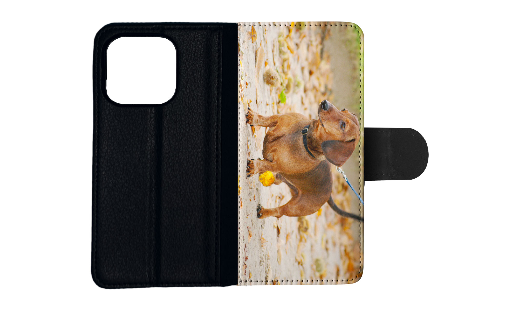 FUNDA ABATIBLE PARA APPLE IPHONE|DACHSHUND DOG 12 - Imagen 74 de 193