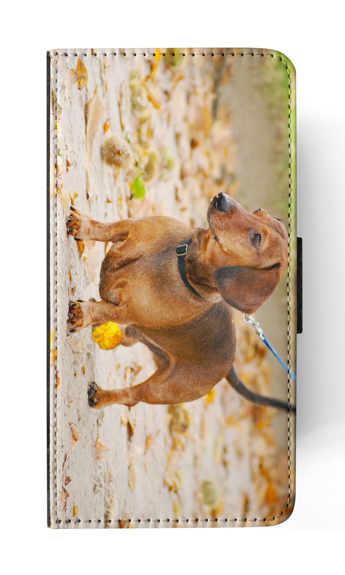 FUNDA ABATIBLE PARA APPLE IPHONE|DACHSHUND DOG 12 - Imagen 52 de 193