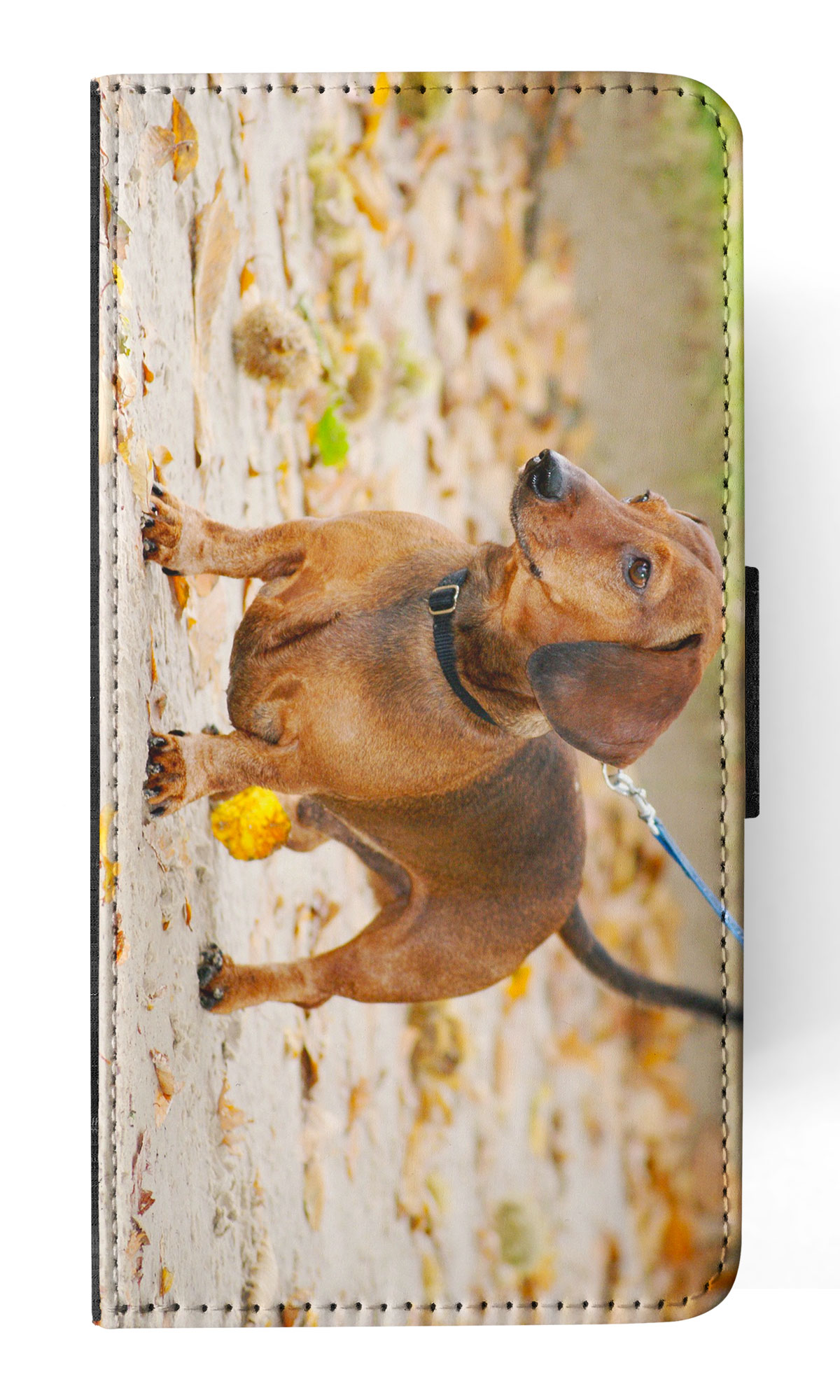 FUNDA ABATIBLE PARA APPLE IPHONE|DACHSHUND DOG 12 - Imagen 47 de 193