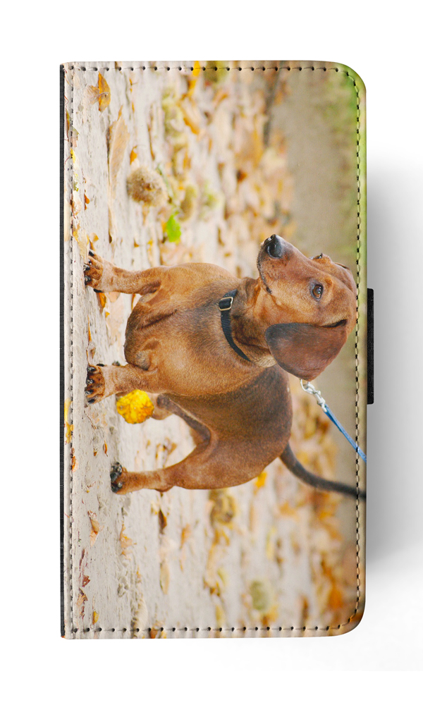 FUNDA ABATIBLE PARA APPLE IPHONE|DACHSHUND DOG 12 - Imagen 160 de 193