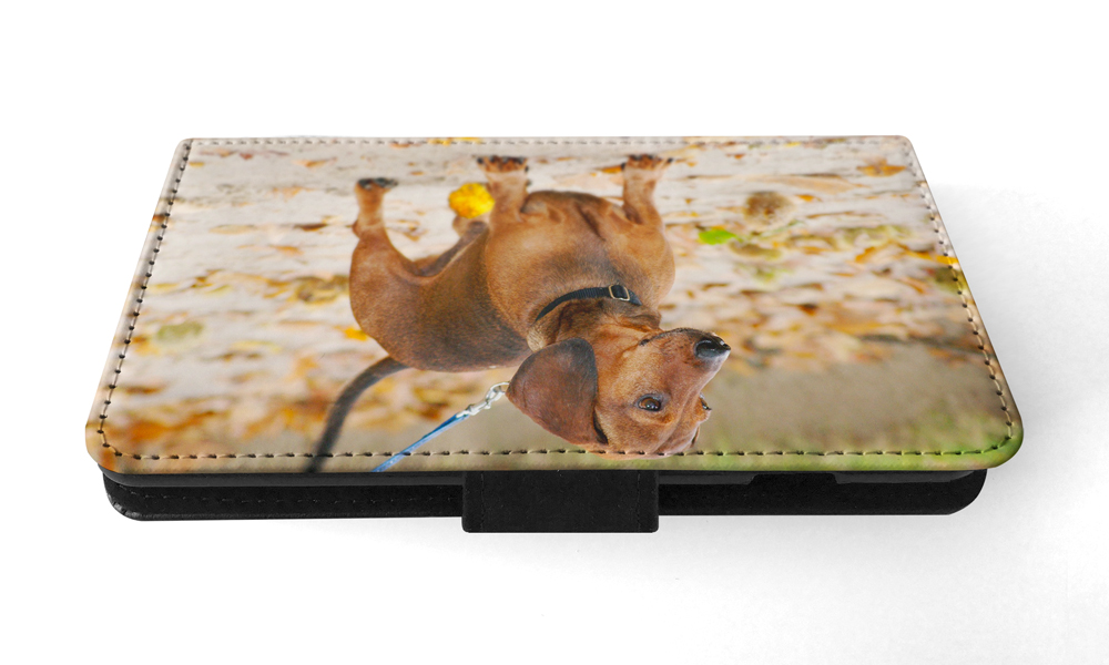 FUNDA ABATIBLE PARA APPLE IPHONE|DACHSHUND DOG 12 - Imagen 161 de 193