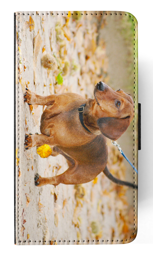 FUNDA ABATIBLE PARA APPLE IPHONE|DACHSHUND DOG 12 - Imagen 150 de 193