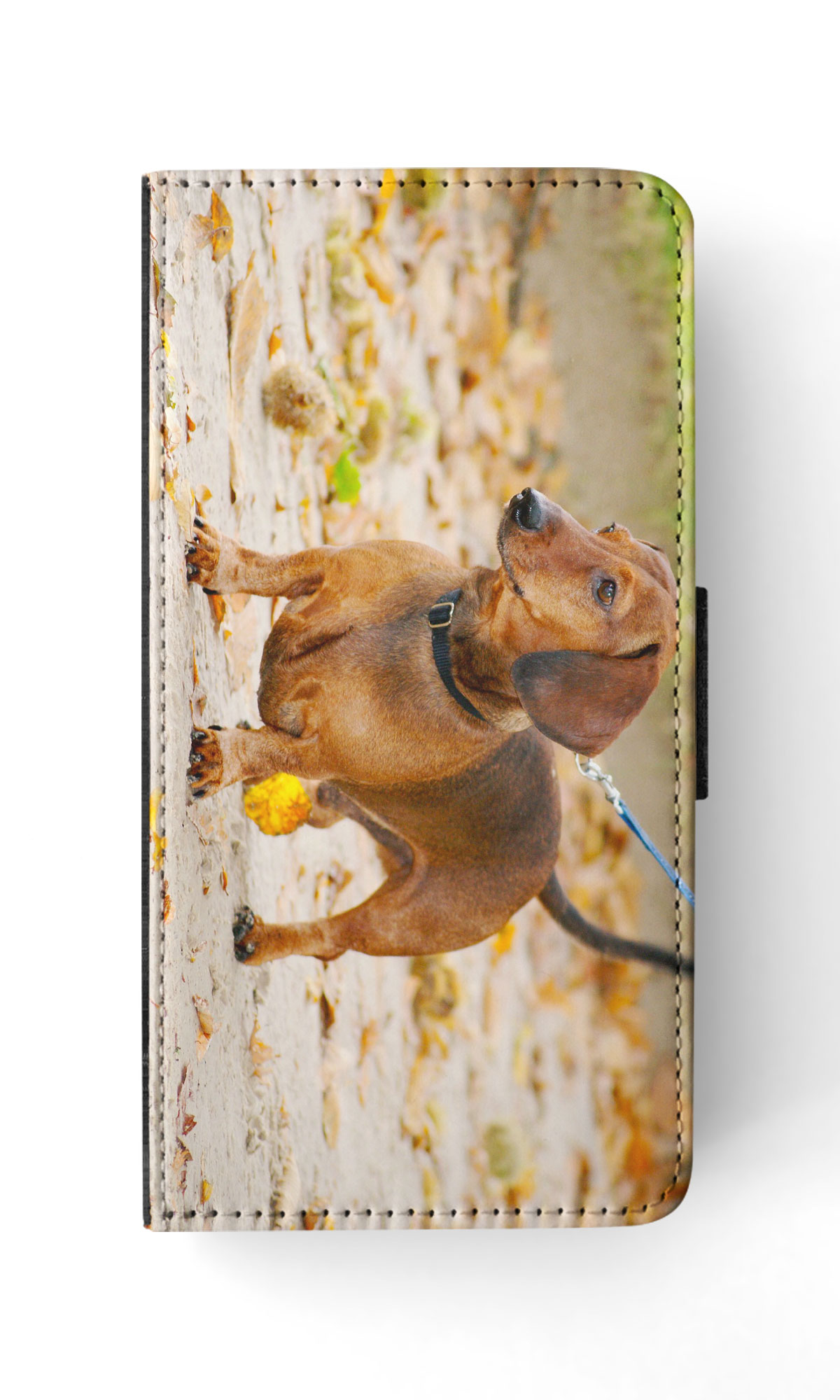 FUNDA ABATIBLE PARA APPLE IPHONE|DACHSHUND DOG 12 - Imagen 42 de 193