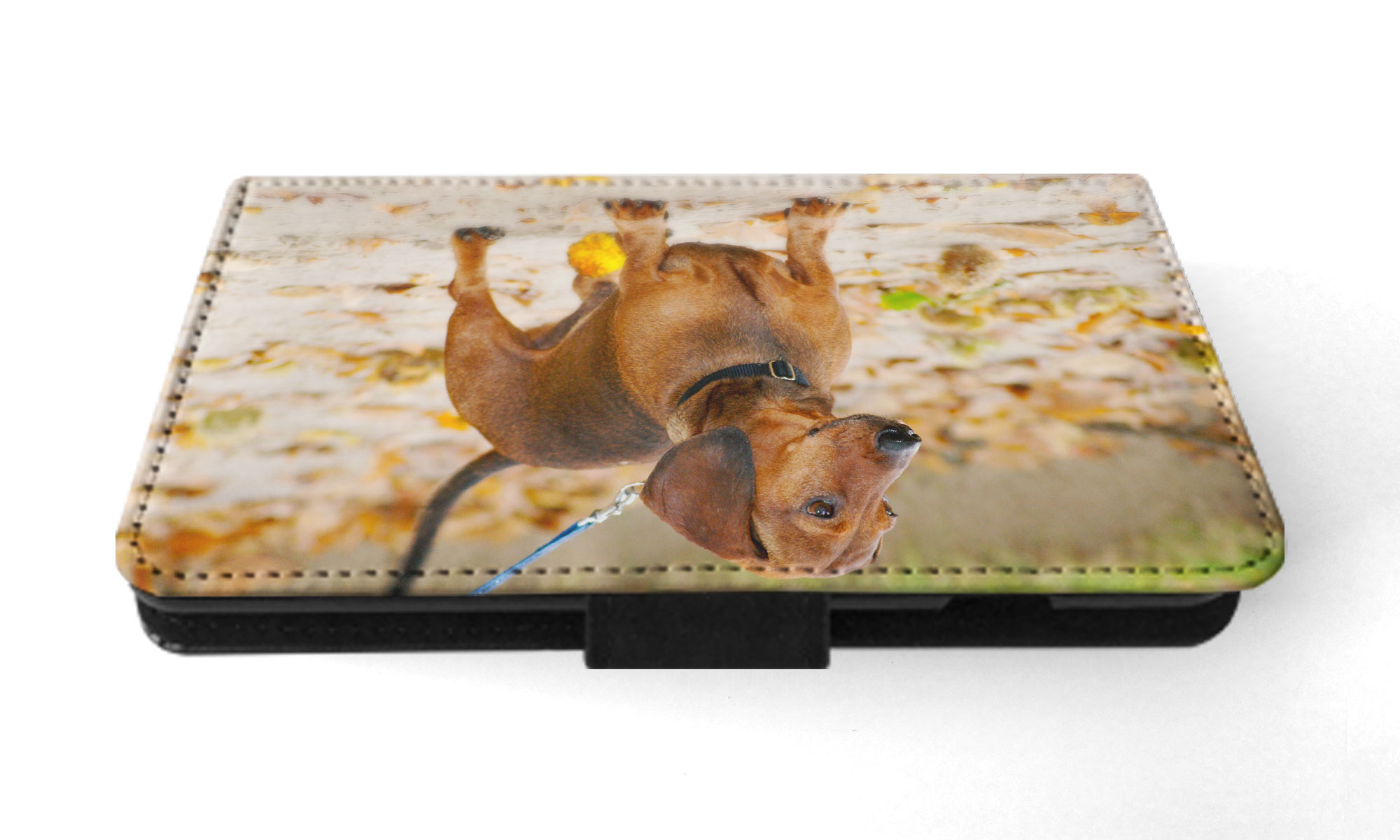 FUNDA ABATIBLE PARA APPLE IPHONE|DACHSHUND DOG 12 - Imagen 33 de 193