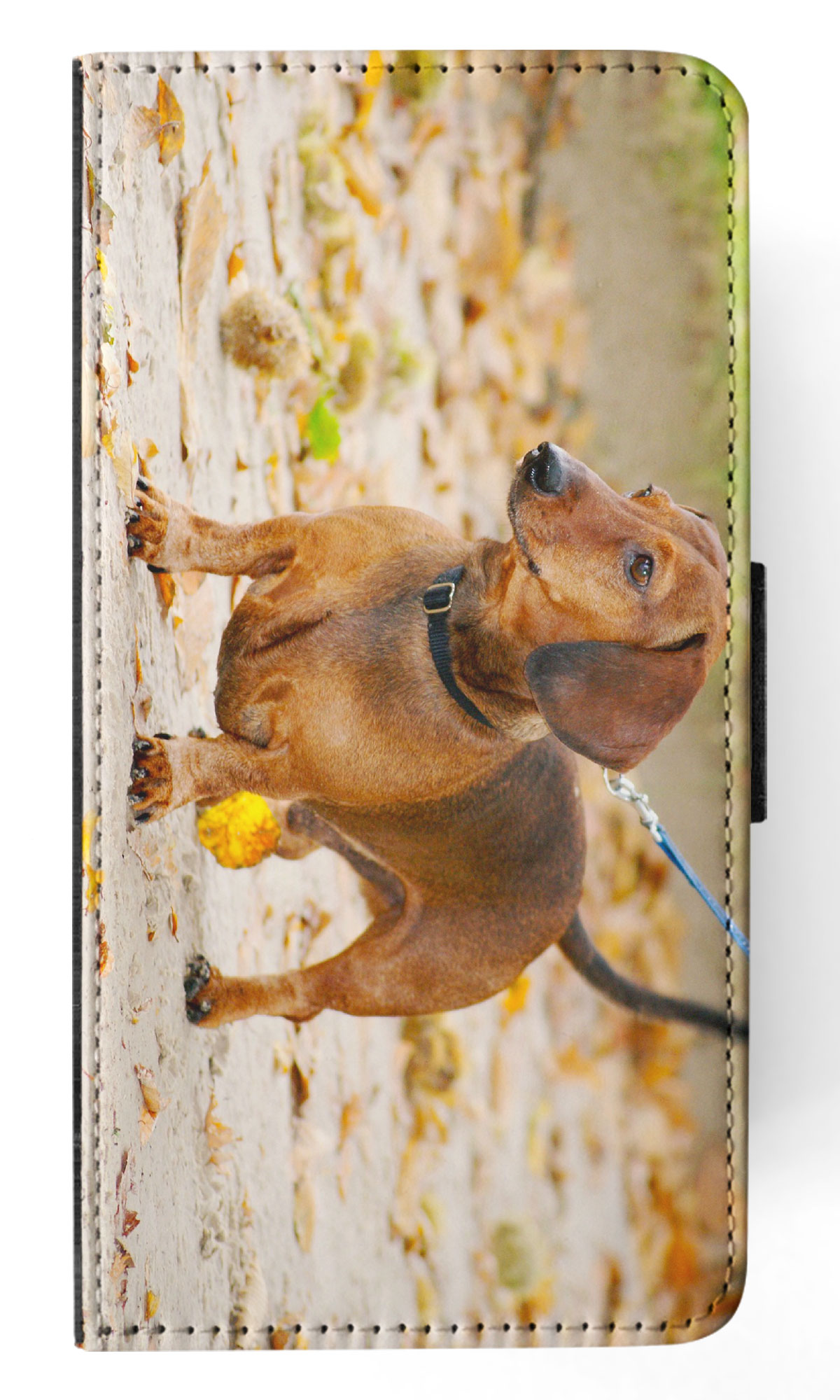 FUNDA ABATIBLE PARA APPLE IPHONE|DACHSHUND DOG 12 - Imagen 27 de 193
