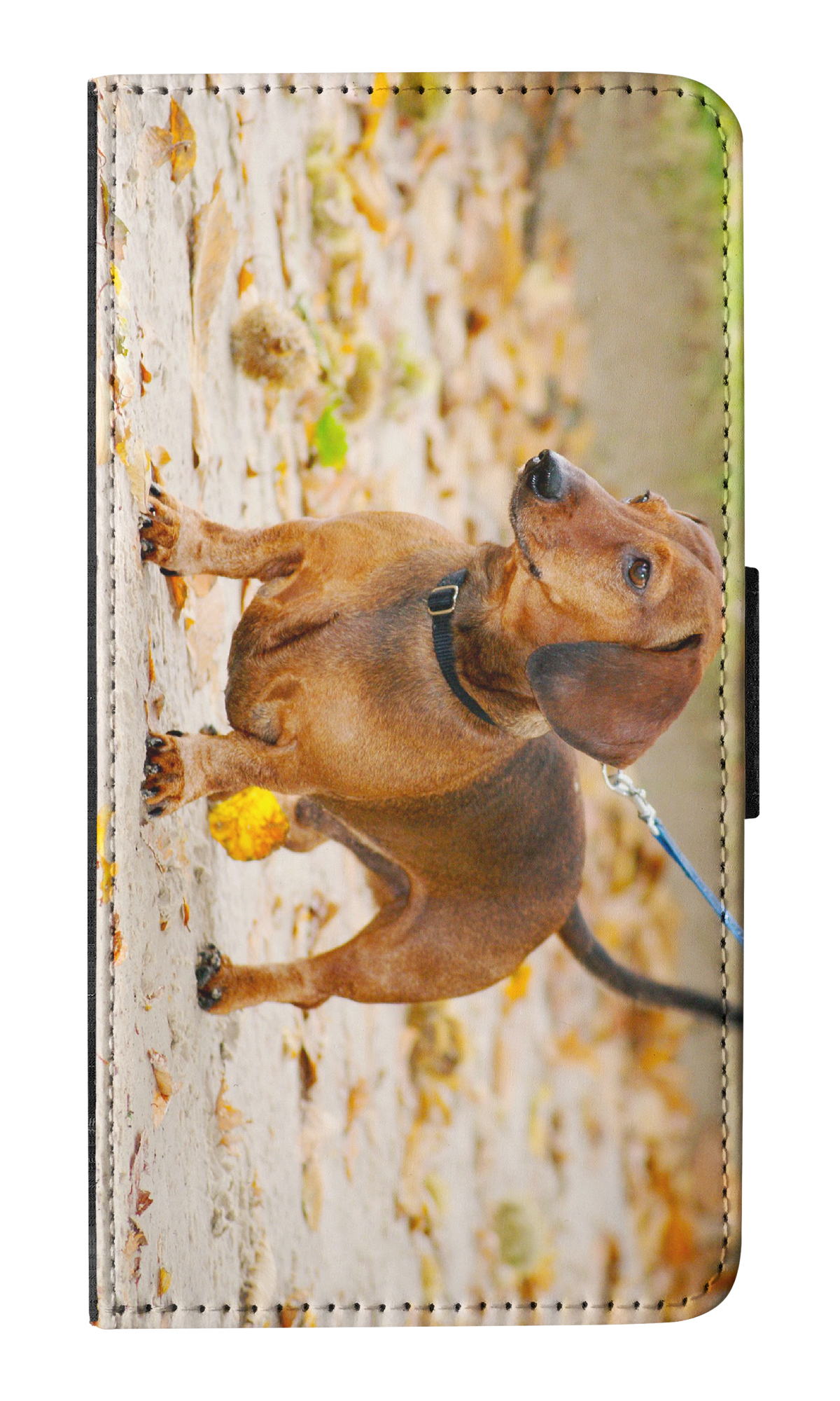 FUNDA ABATIBLE PARA APPLE IPHONE|DACHSHUND DOG 12 - Imagen 17 de 193