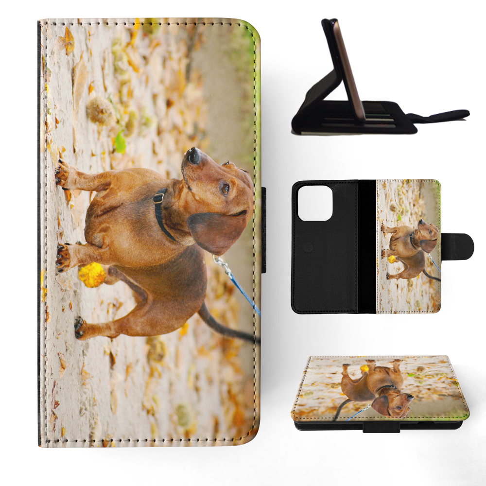 FUNDA ABATIBLE PARA APPLE IPHONE|DACHSHUND DOG 12 - Imagen 11 de 193