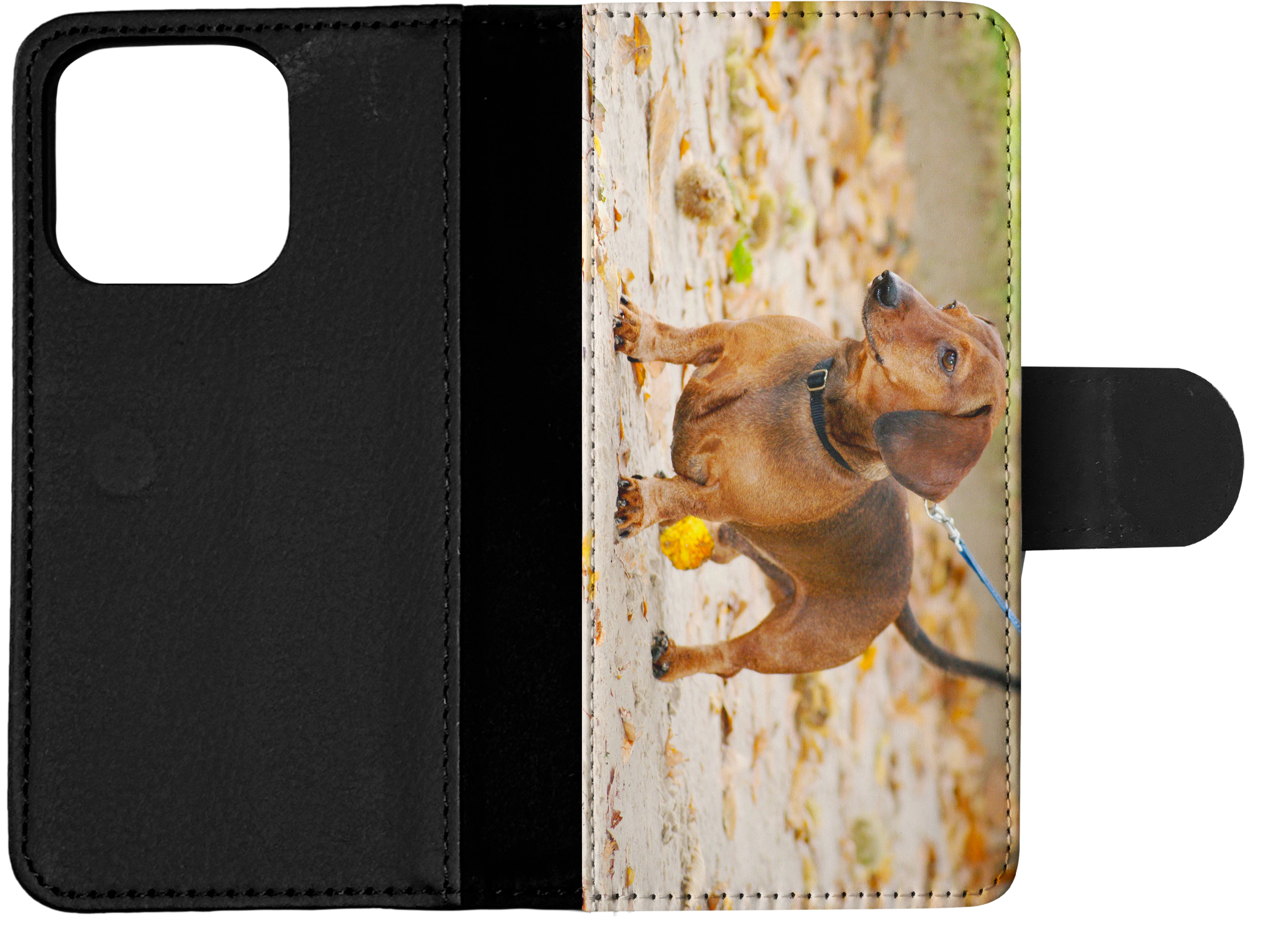 FUNDA ABATIBLE PARA APPLE IPHONE|DACHSHUND DOG 12 - Imagen 14 de 193