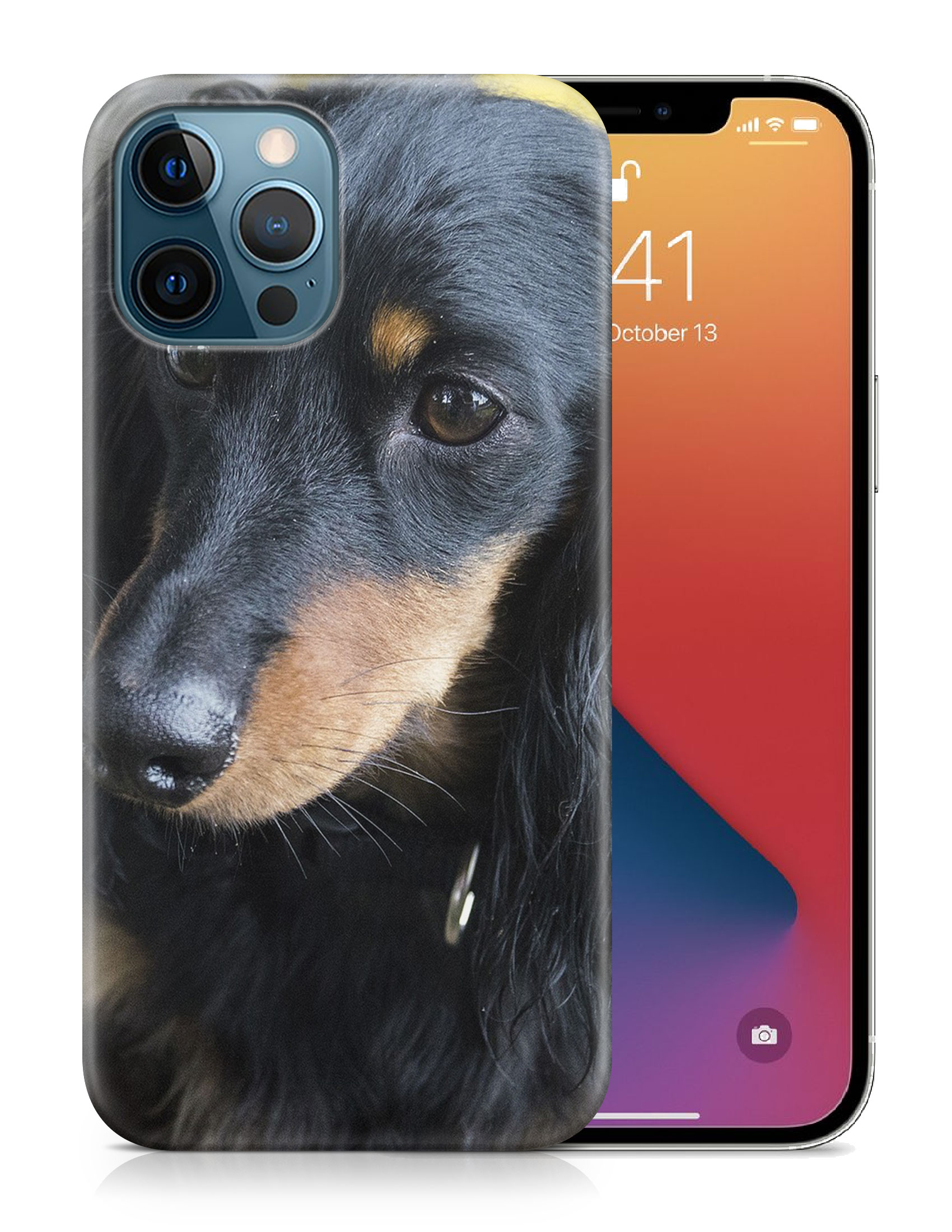 CASE COVER FOR APPLE IPHONE|DACHSHUND DOG 17 - Bild 19 von 44