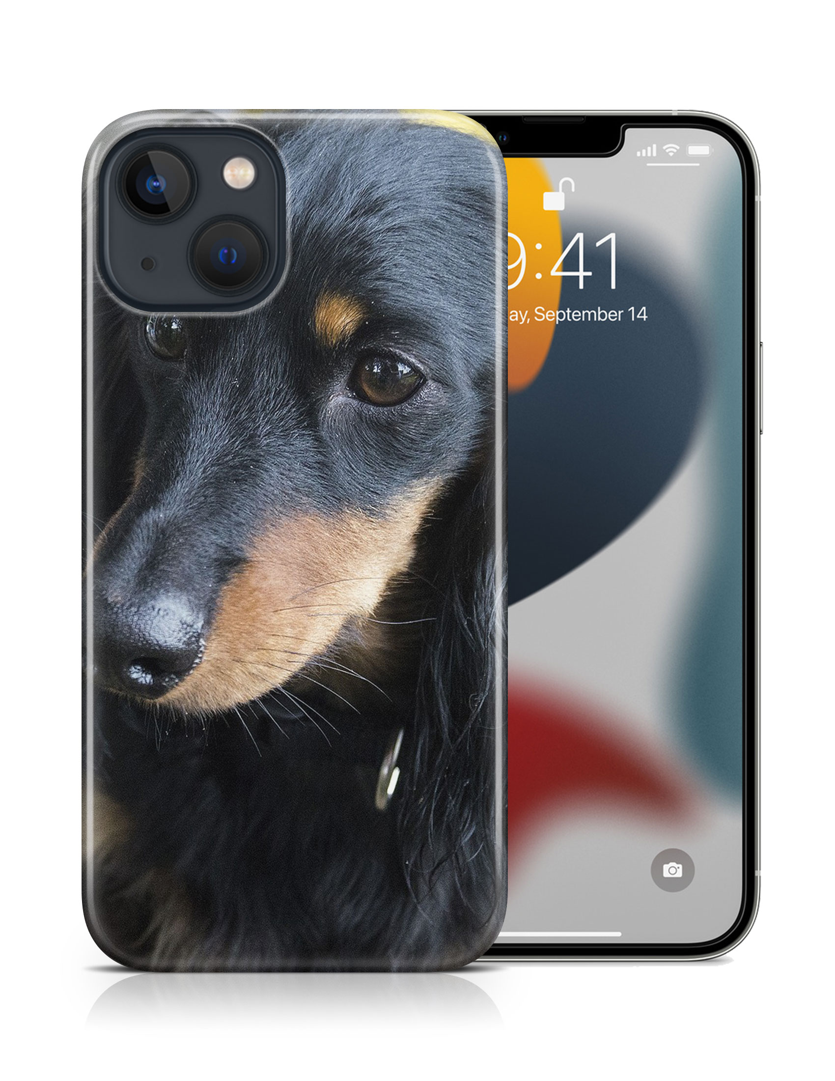 CASE COVER FOR APPLE IPHONE|DACHSHUND DOG 17 - Bild 16 von 44