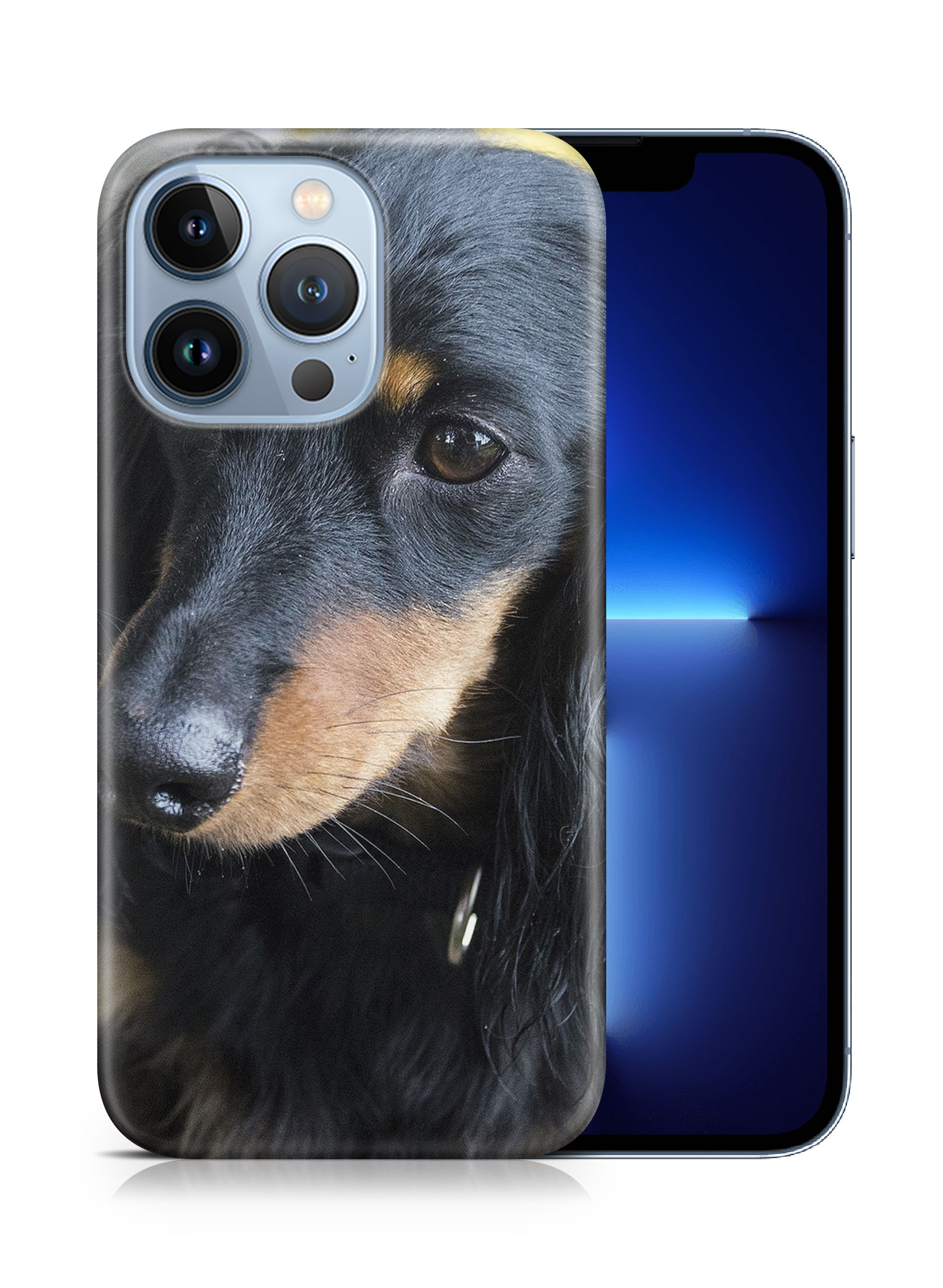 CASE COVER FOR APPLE IPHONE|DACHSHUND DOG 17 - Bild 15 von 44
