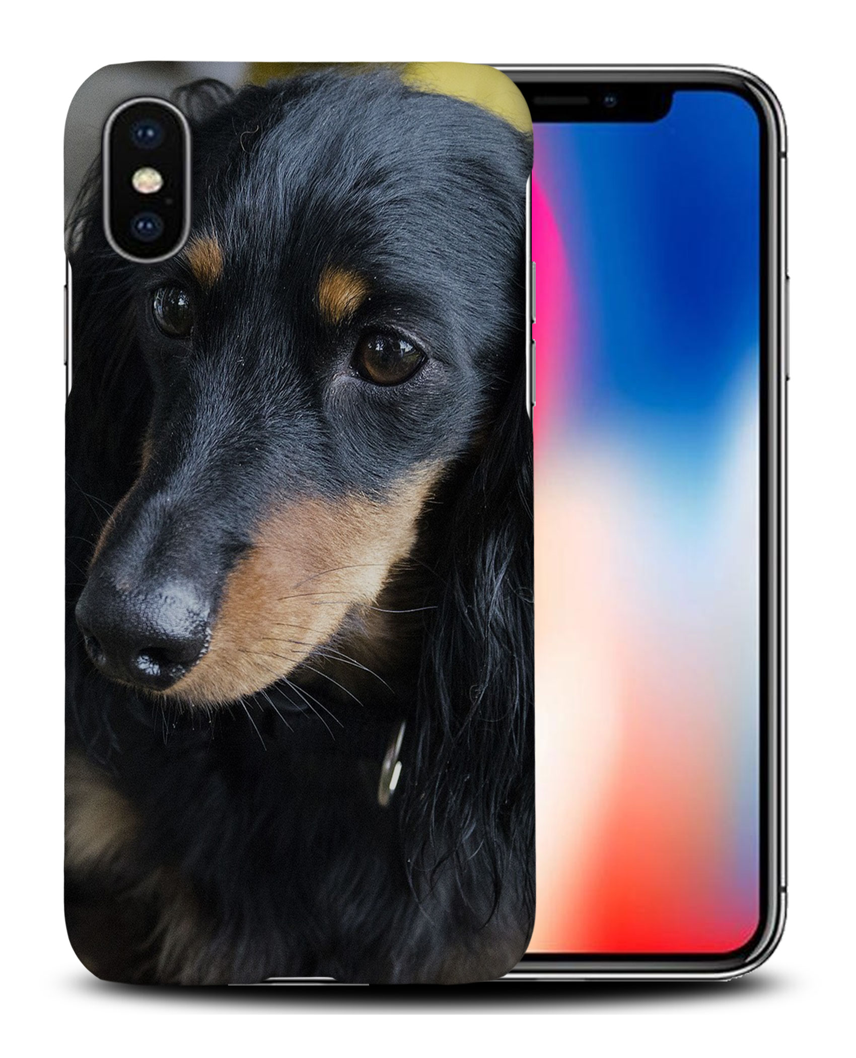 CASE COVER FOR APPLE IPHONE|DACHSHUND DOG 17 - Bild 26 von 44