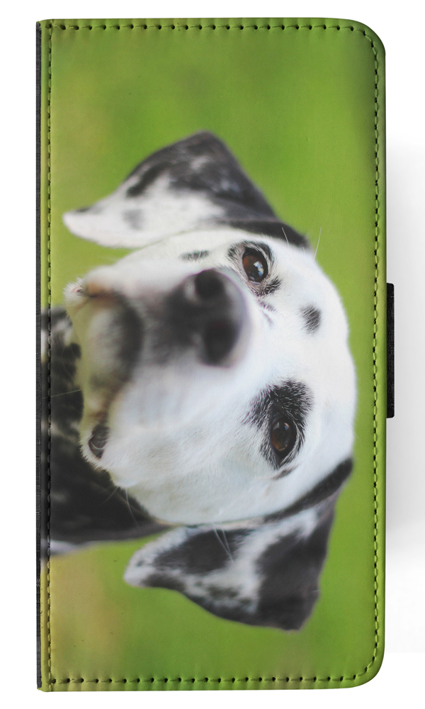 FLIP CASE FOR APPLE IPHONE|DALMATIAN DOG 4 - Foto 120 di 193
