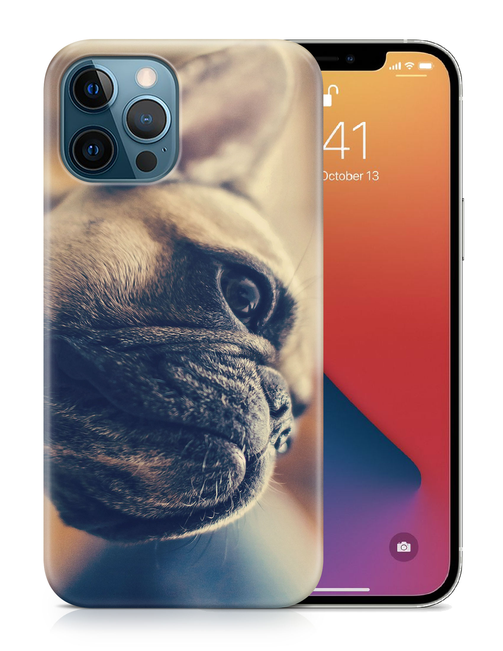 CASE COVER FOR APPLE IPHONE|FRENCH BULLDOG DOG 7 - Foto 19 di 44