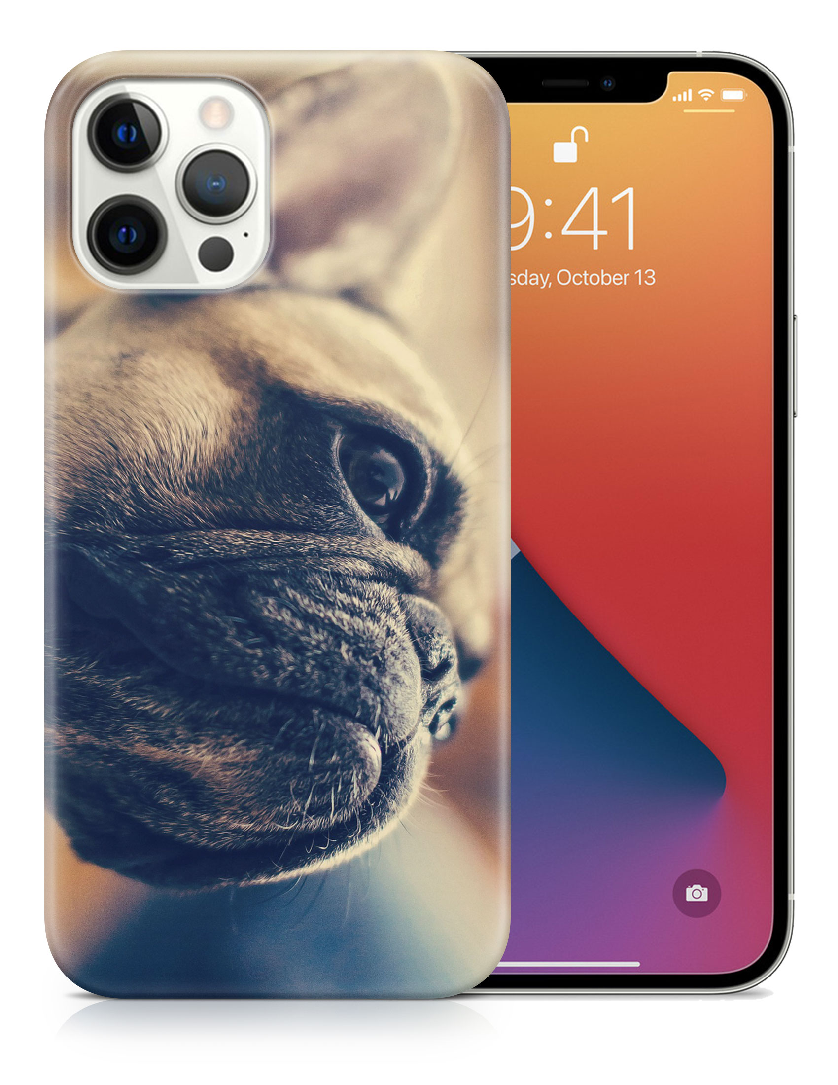 CASE COVER FOR APPLE IPHONE|FRENCH BULLDOG DOG 7 - Foto 18 di 44