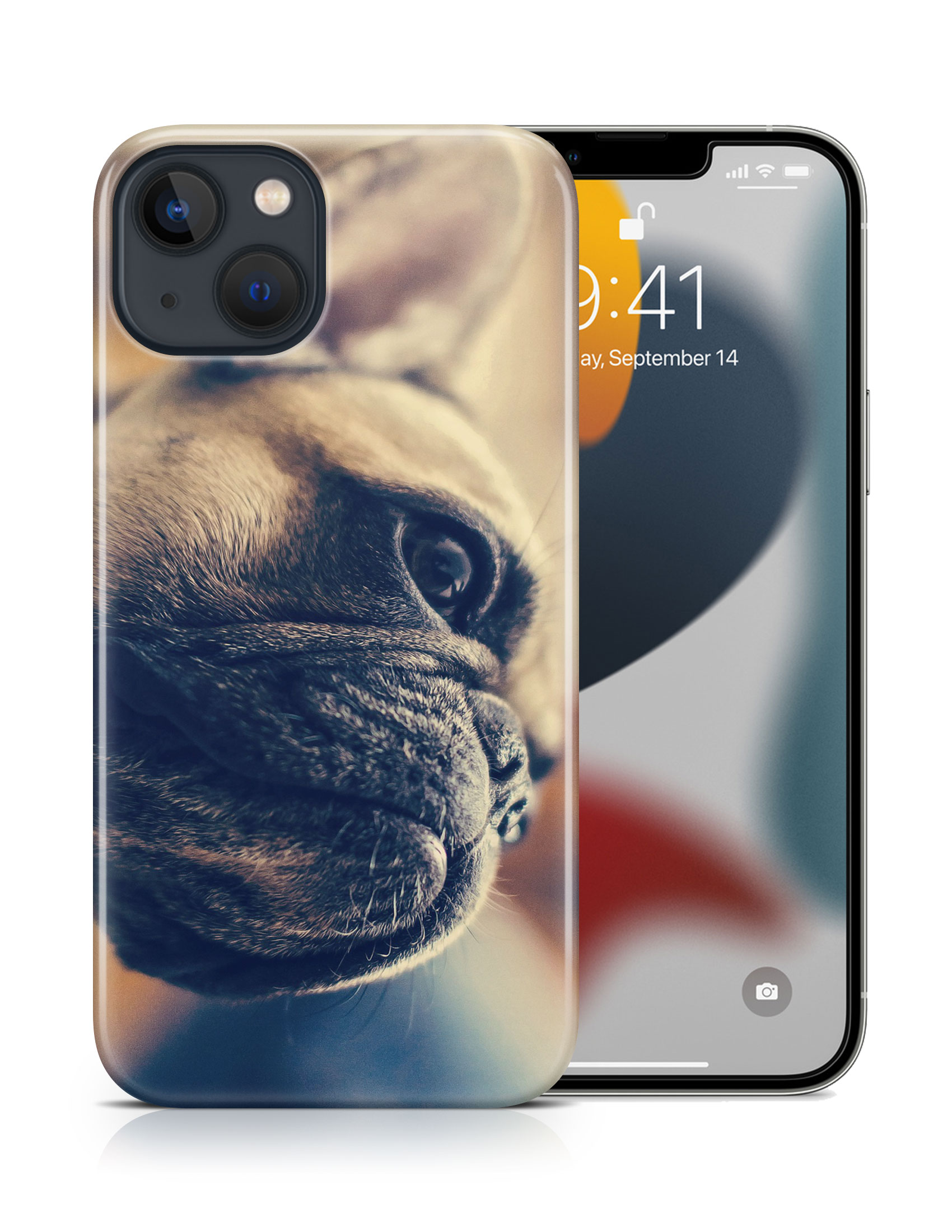 CASE COVER FOR APPLE IPHONE|FRENCH BULLDOG DOG 7 - Foto 16 di 44