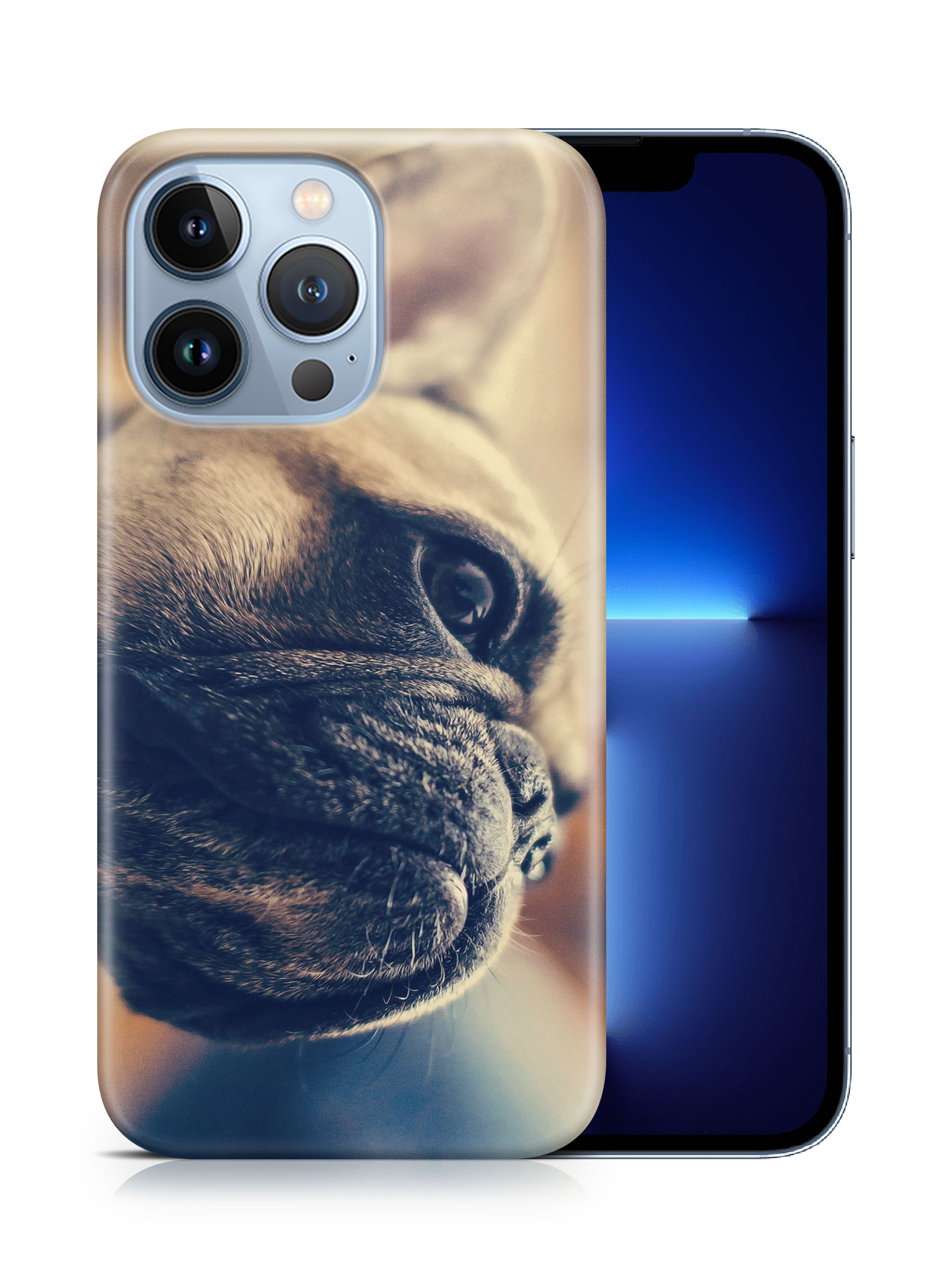 CASE COVER FOR APPLE IPHONE|FRENCH BULLDOG DOG 7 - Foto 15 di 44