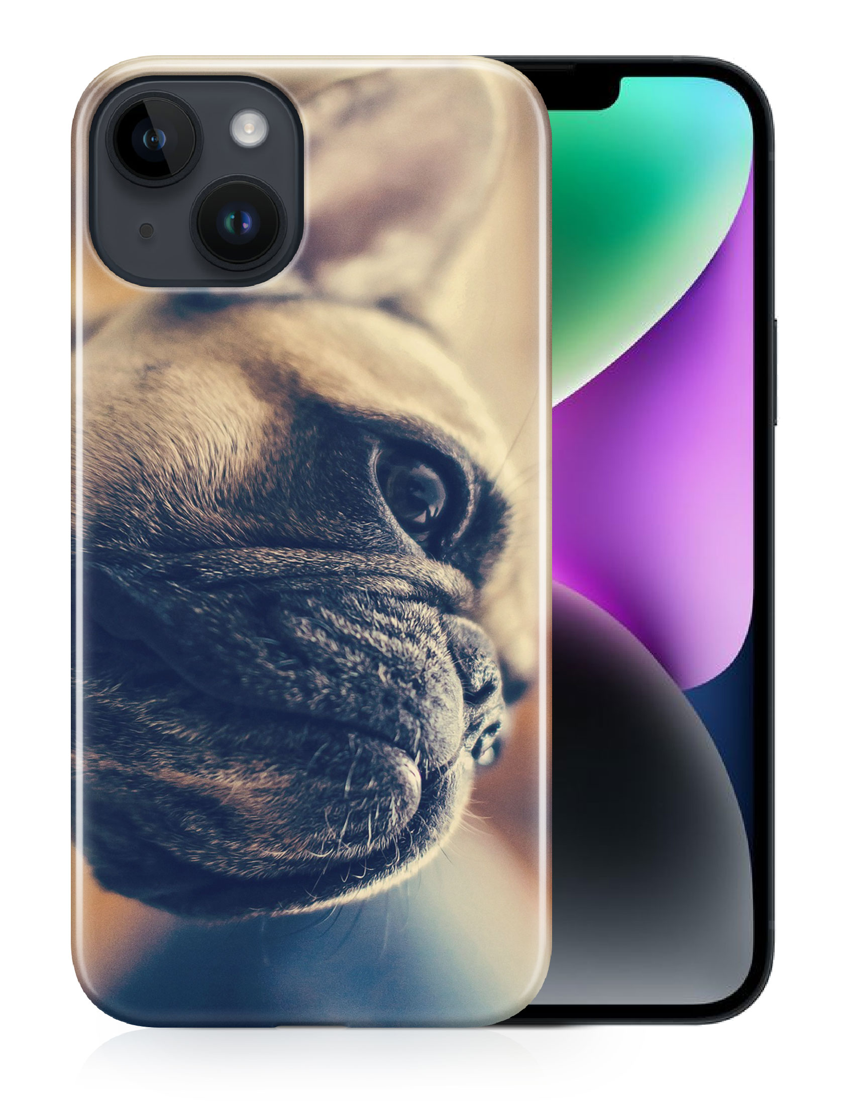 CASE COVER FOR APPLE IPHONE|FRENCH BULLDOG DOG 7 - Foto 12 di 44