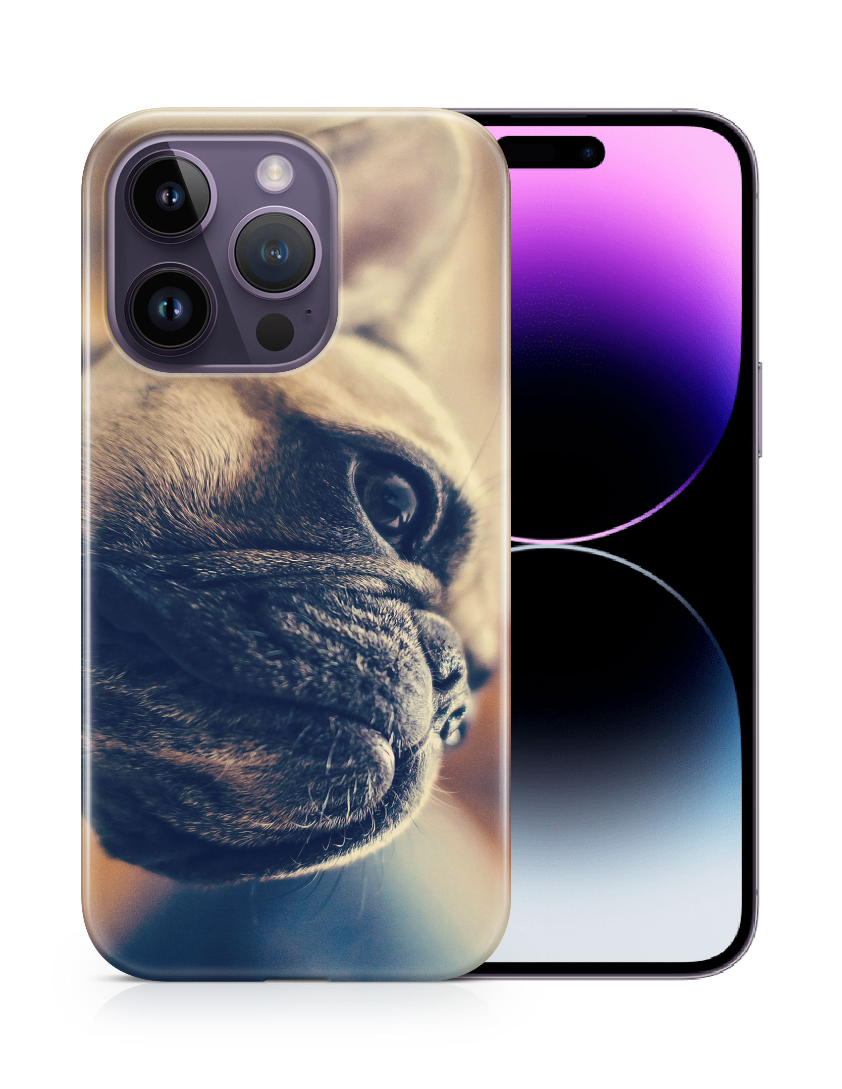 CASE COVER FOR APPLE IPHONE|FRENCH BULLDOG DOG 7 - Foto 11 di 44