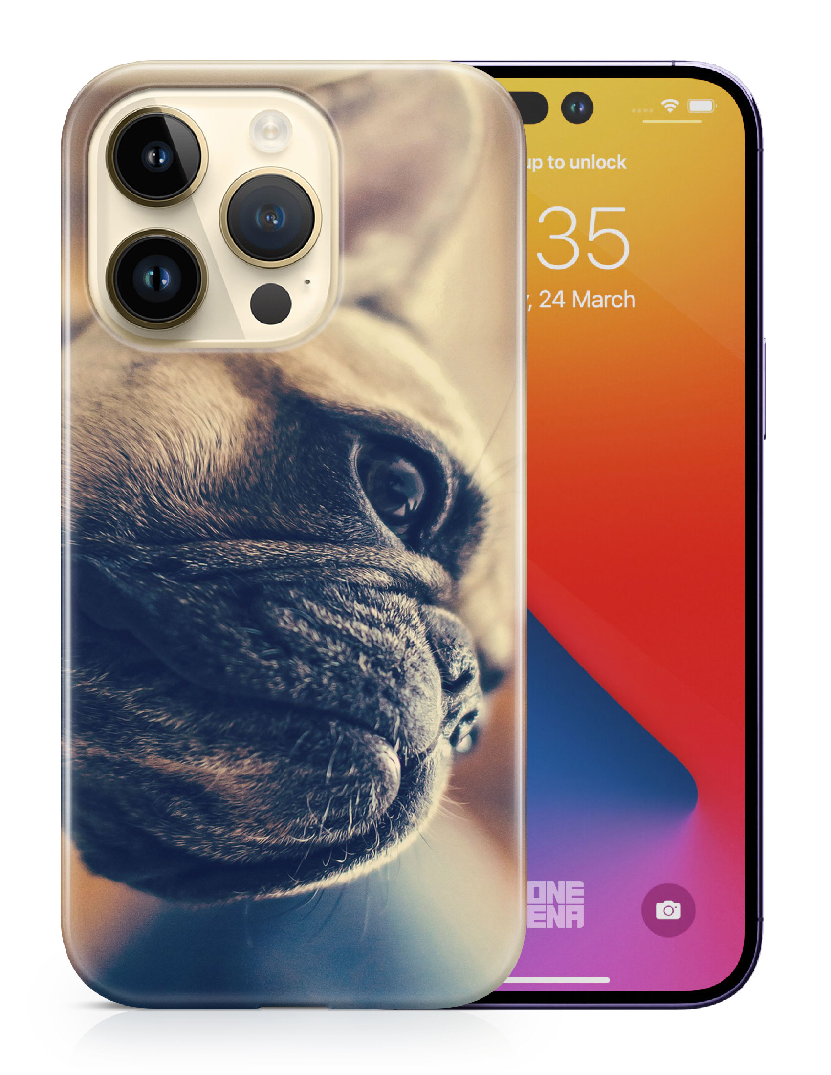 CASE COVER FOR APPLE IPHONE|FRENCH BULLDOG DOG 7 - Foto 10 di 44